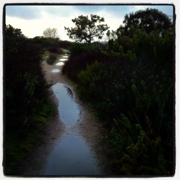 La Orilla Trail