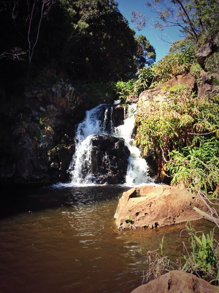 Canyon Trail to Waipoo Falls
