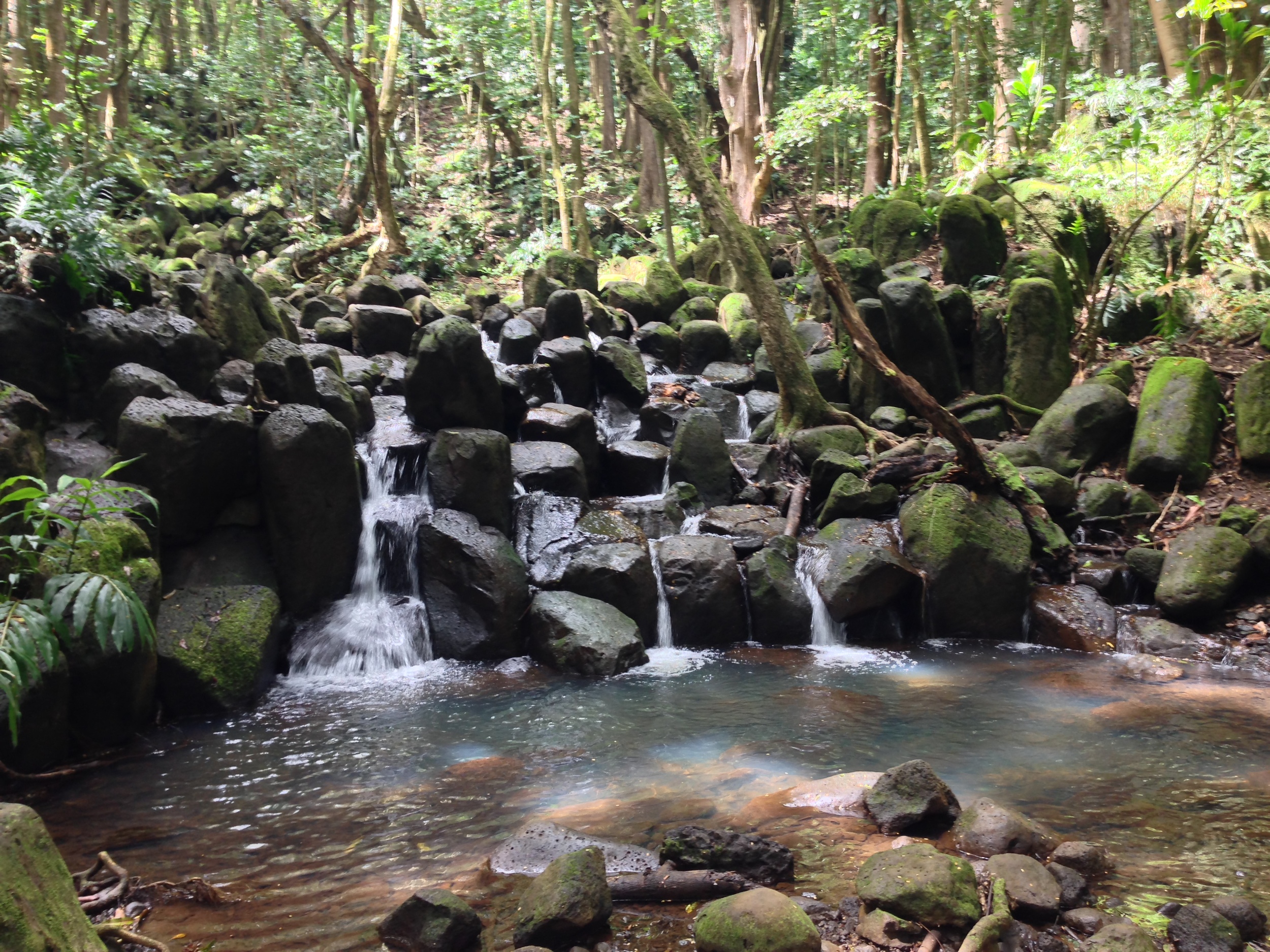 Min-falls along the trail to Uluwehi Falls