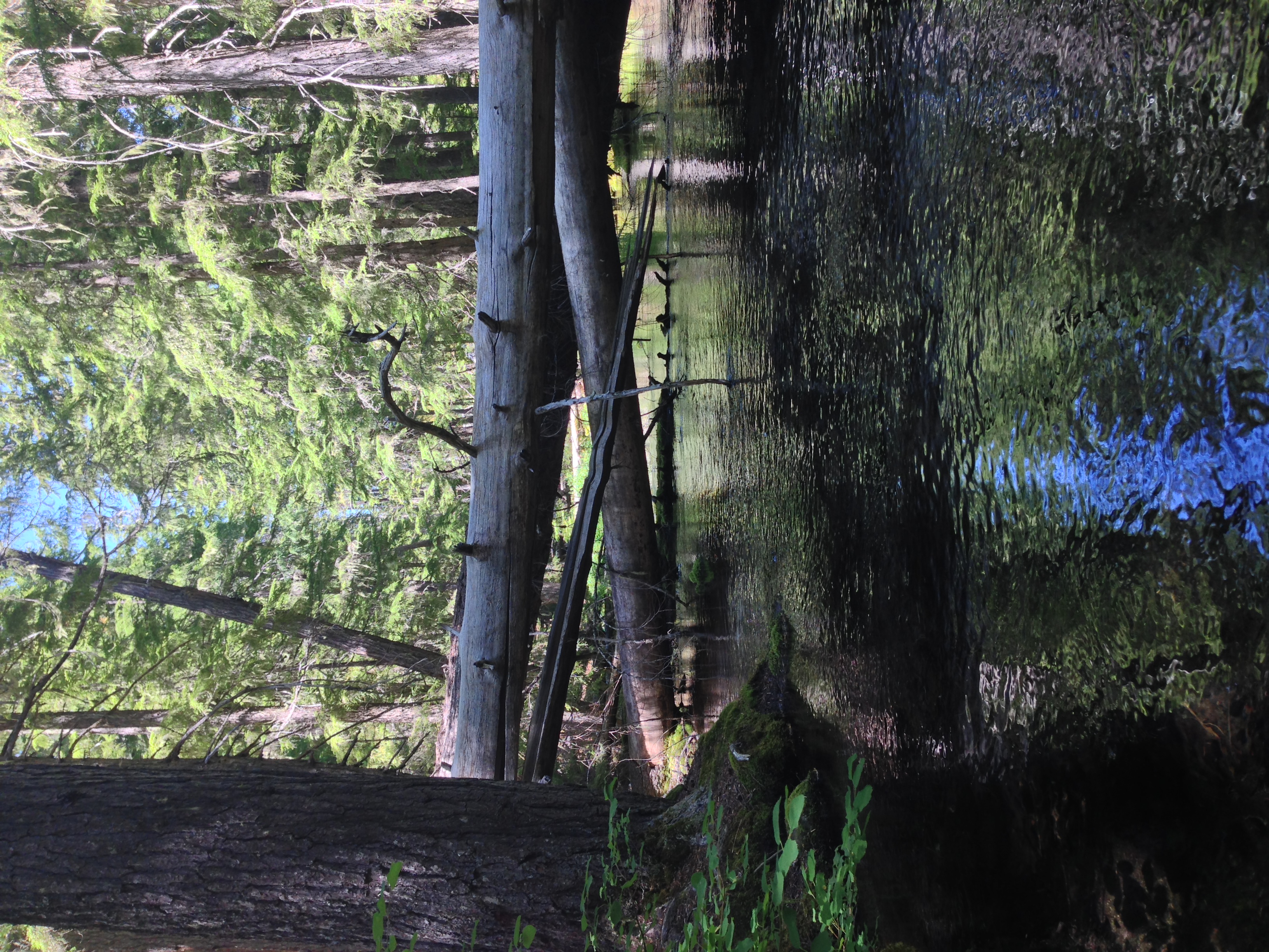 Clearwater River, July 2014
