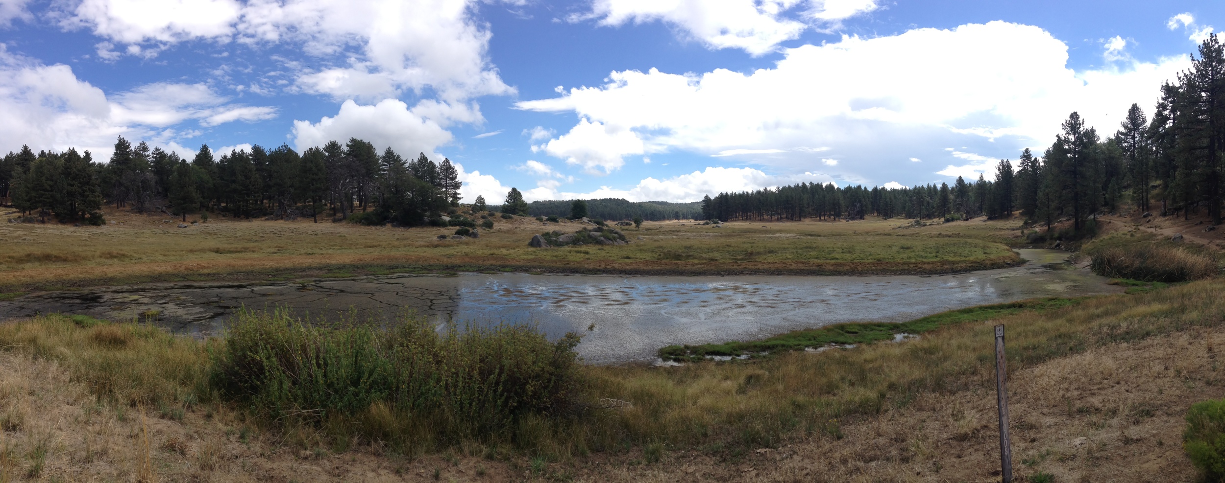Water of the Woods, September 2014