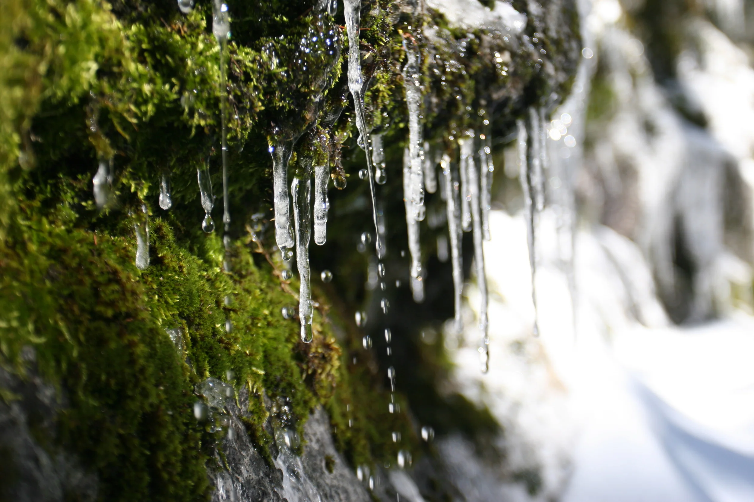 Snowmelt, Yosemite