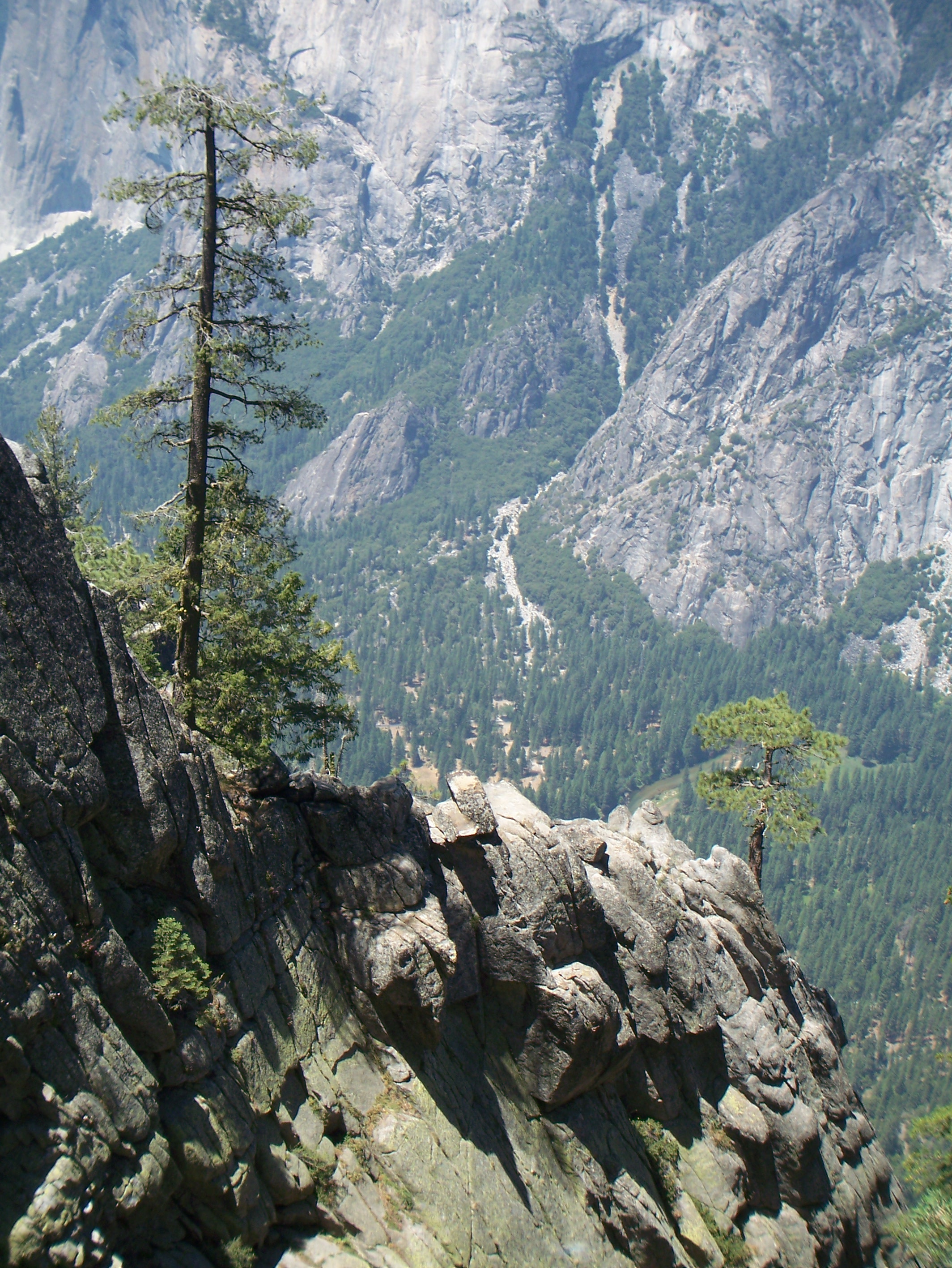 Yosemite Valley, viewed from the South Rim Trail
