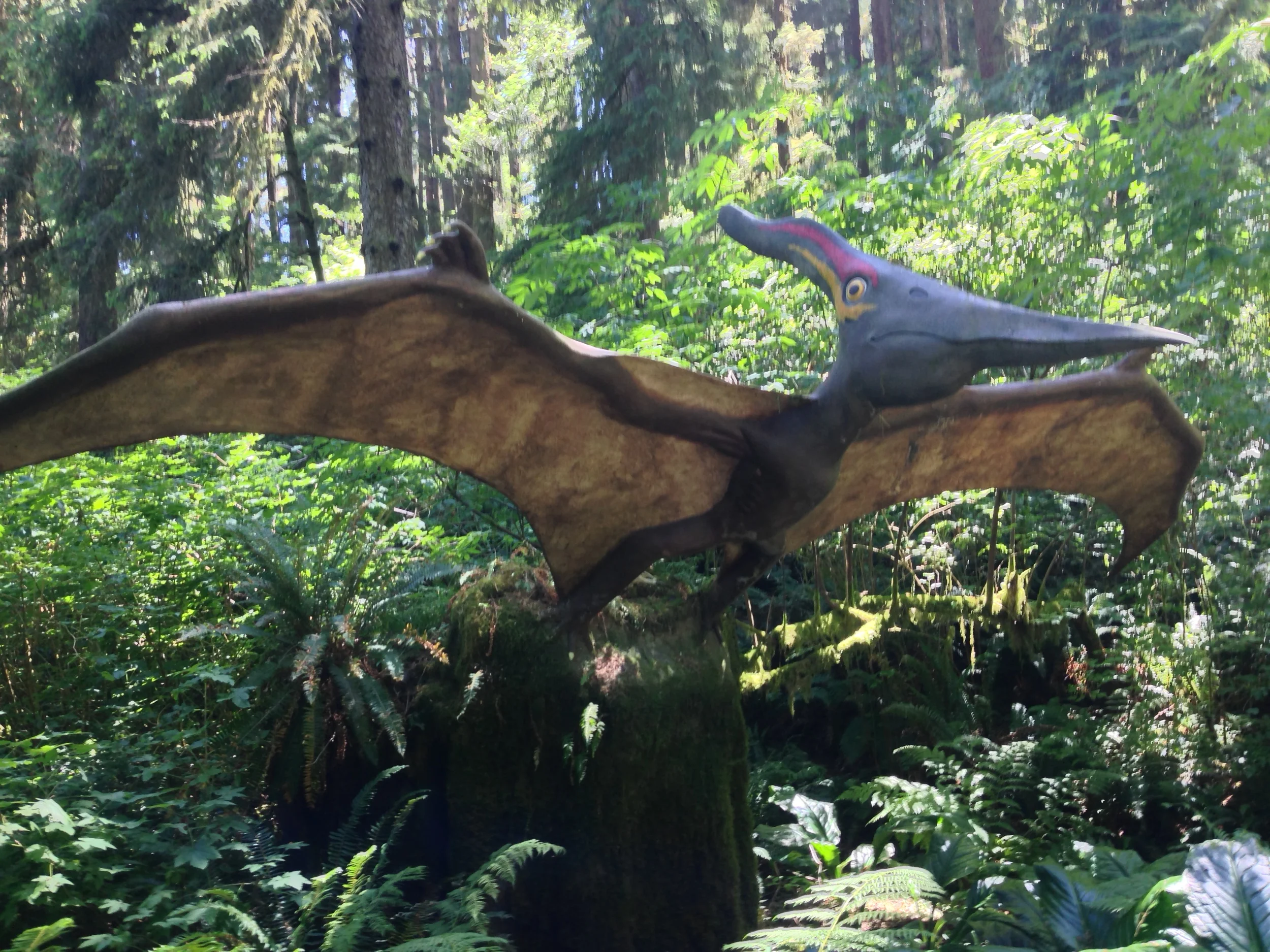 Prehistoric Gardens