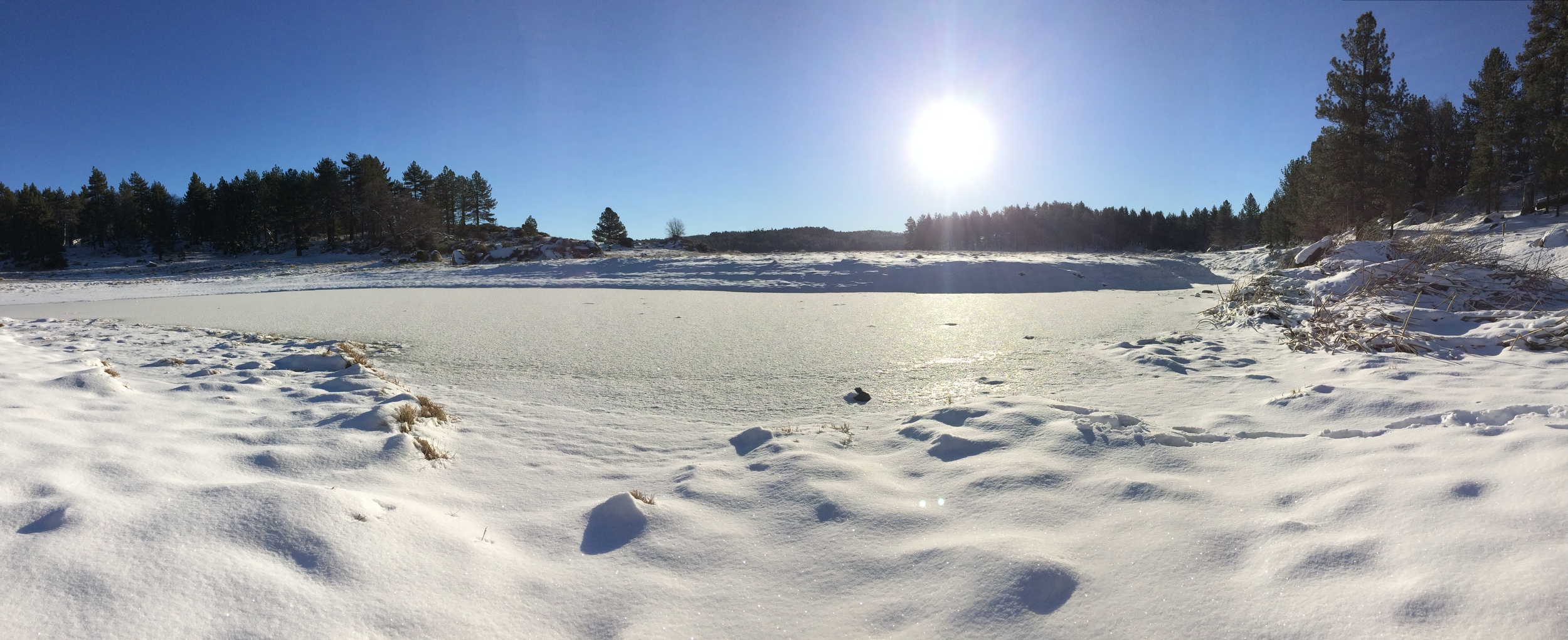 Water of the Woods, January 2015