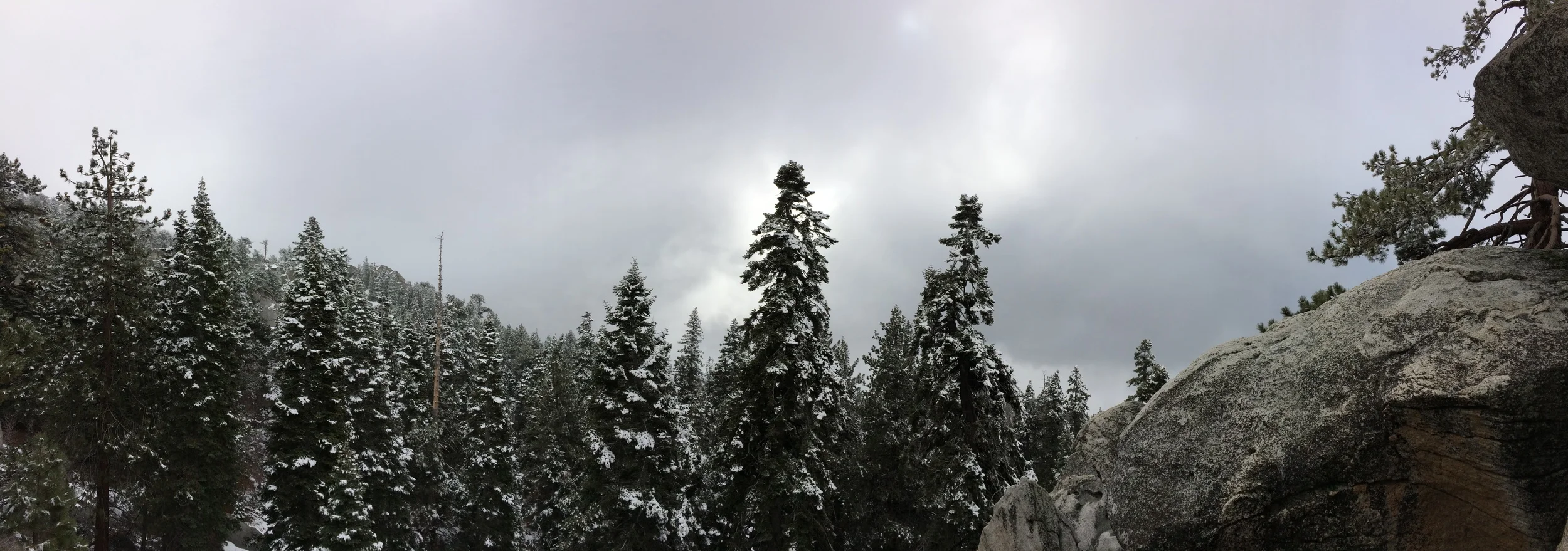 Deer Springs Trail to Strawberry Junction