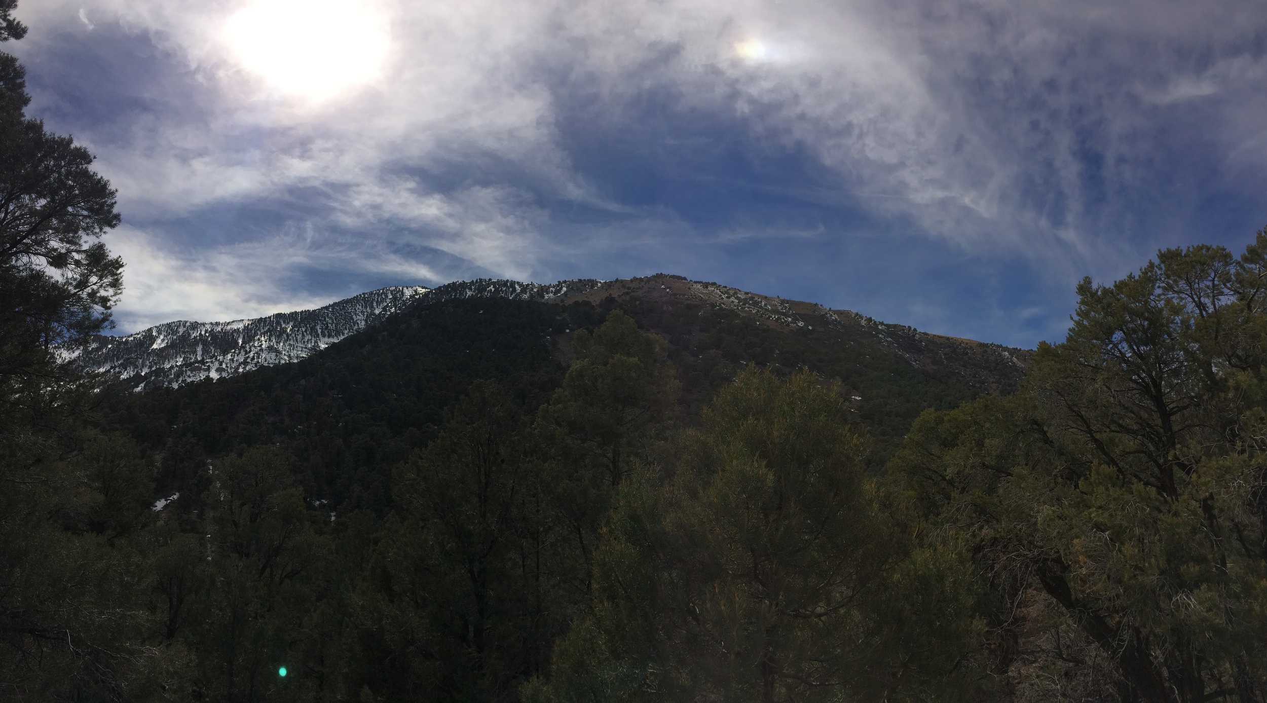 Shorty's Well Route, March 2015