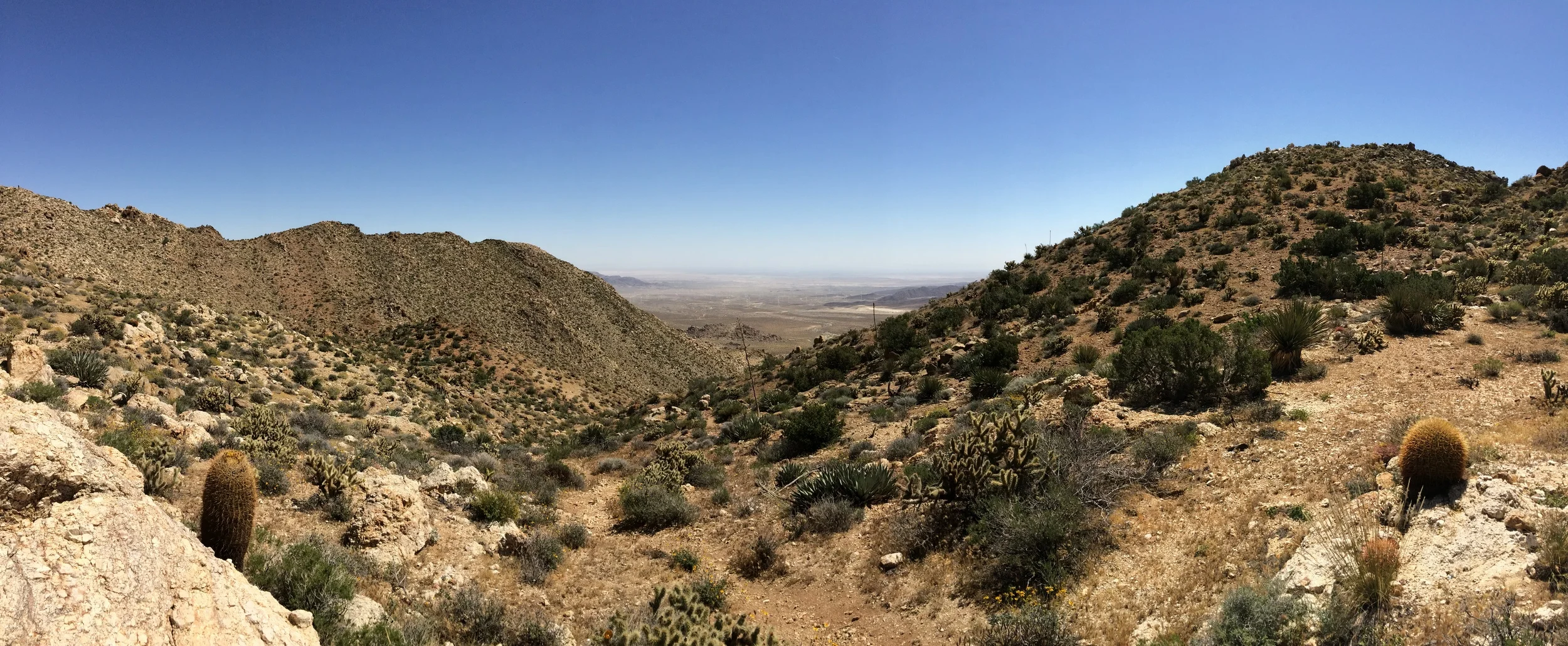 Plateau before Goat Canyon facing East toward trailhead, Anza Borrego Desert, April 2015