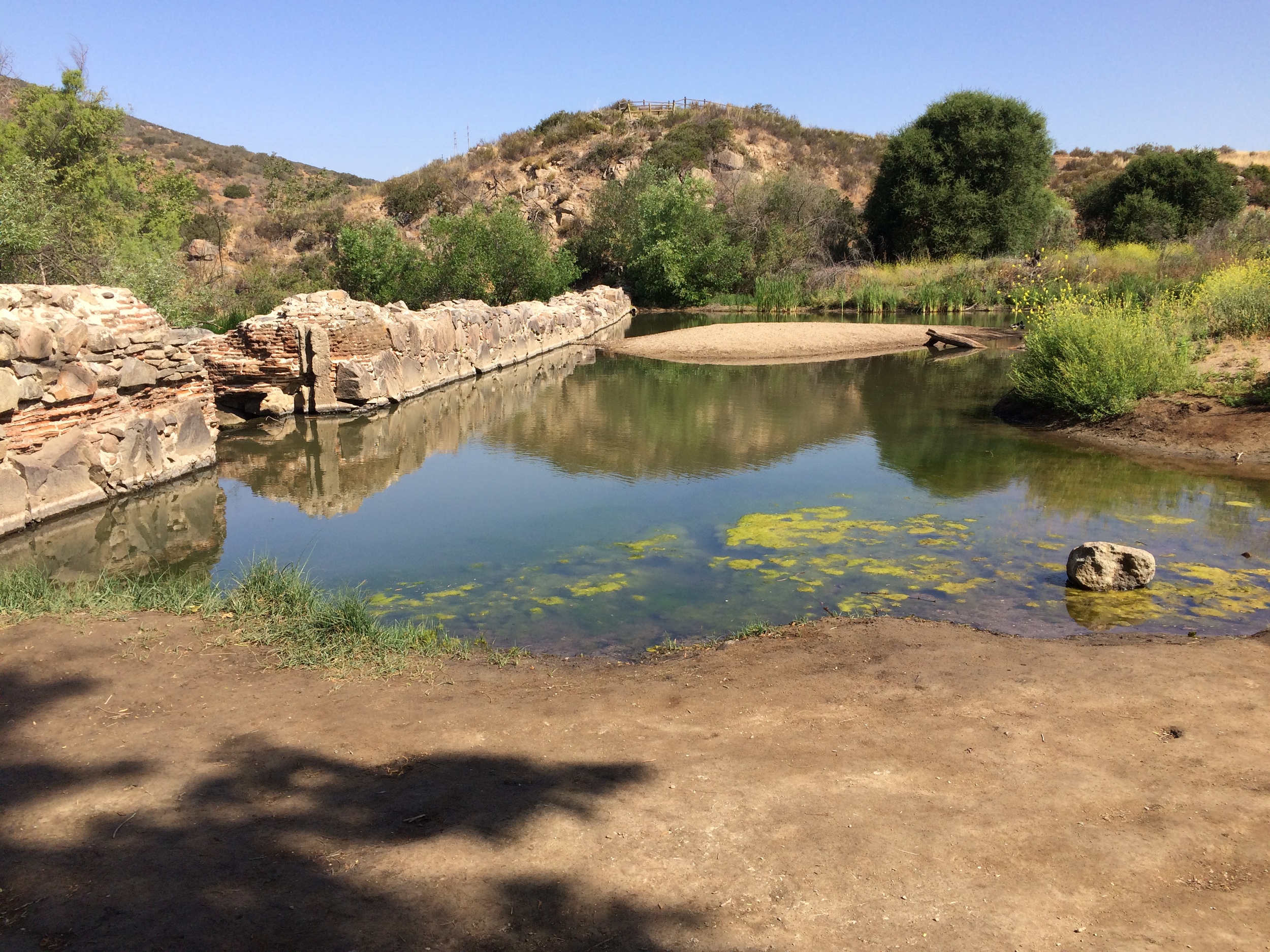 Old Mission Dam, April 2015