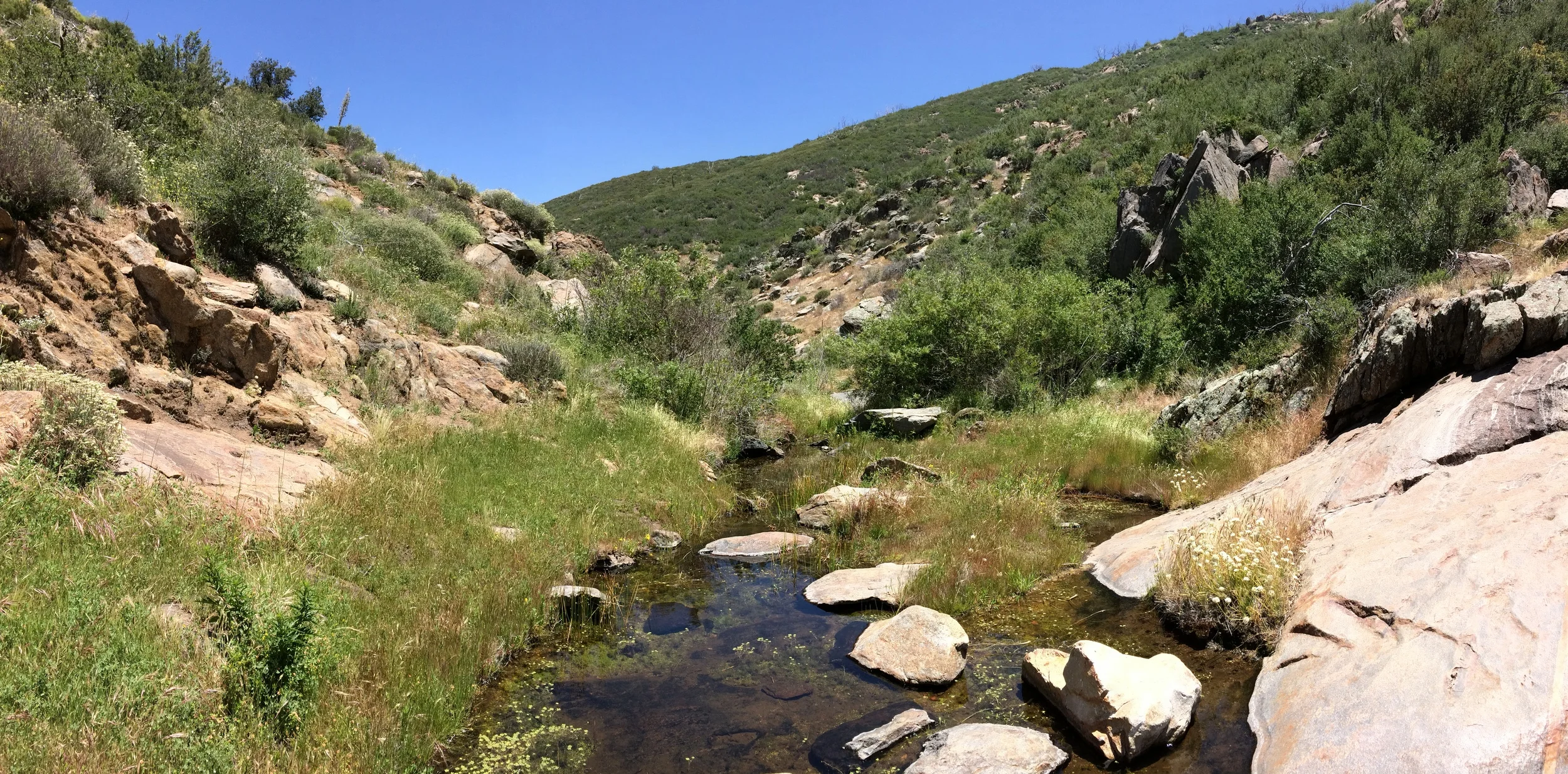 Harper's Creek, Cuyamaca State Park