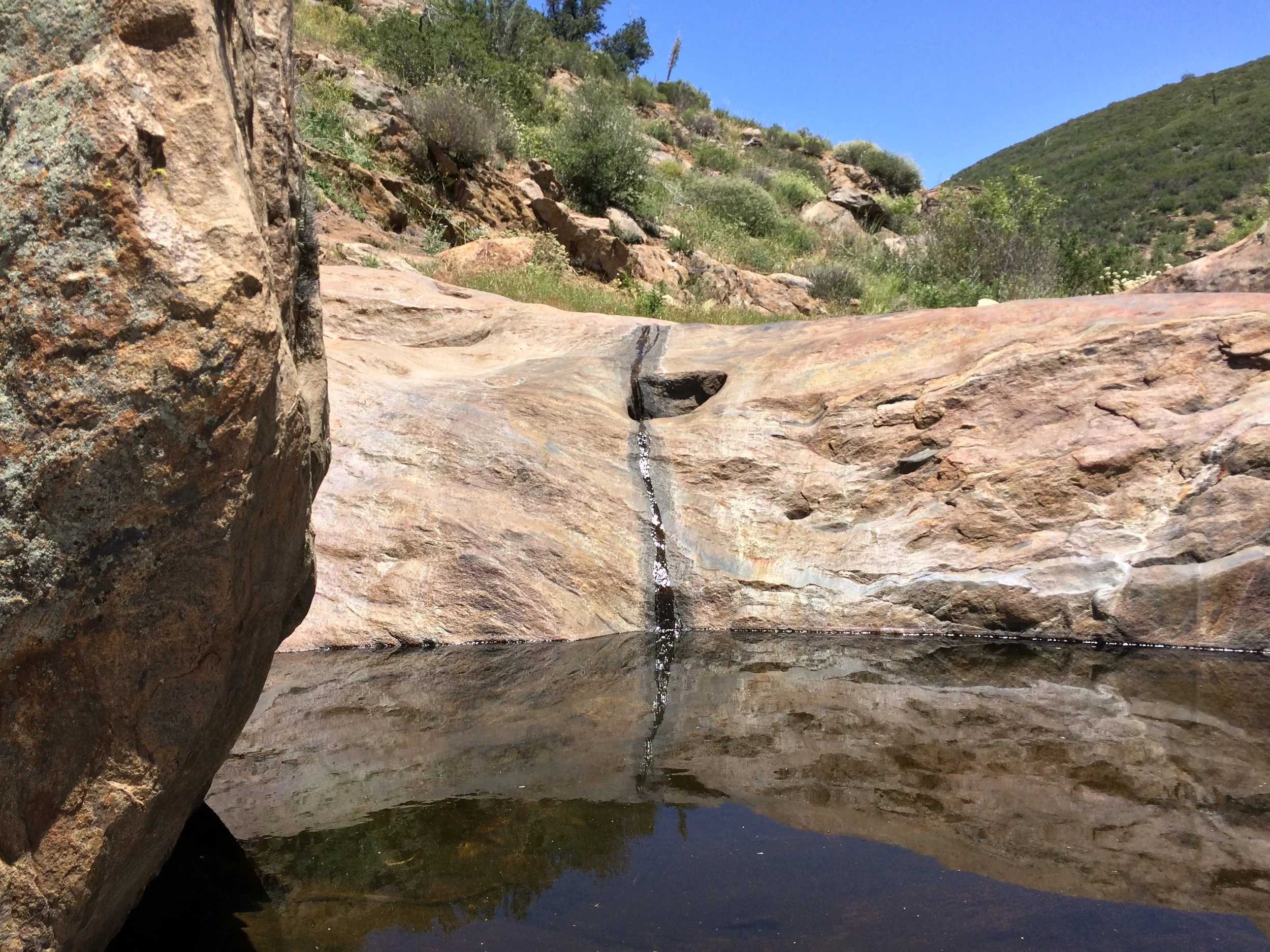 Harper's Creek, May 2015