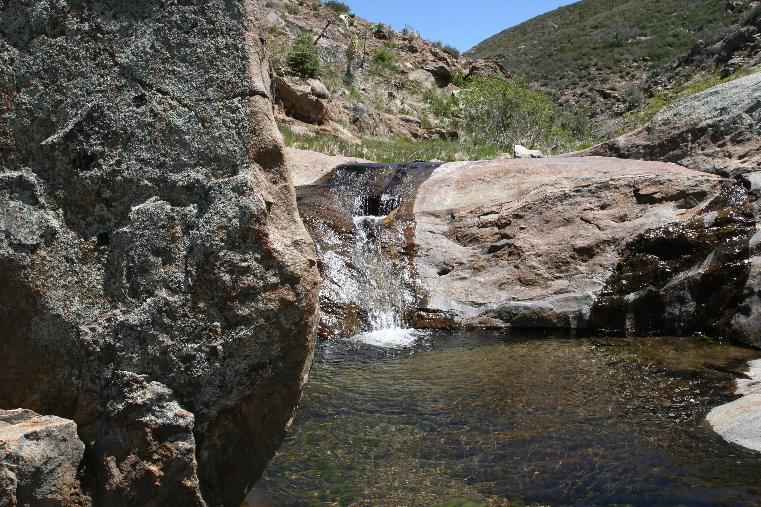 Harper's Creek, May 2009