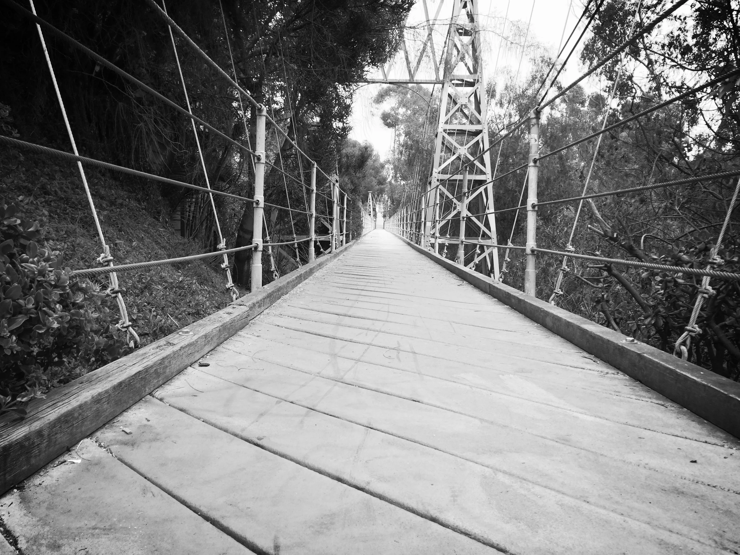 Spruce Street Suspension Bridge