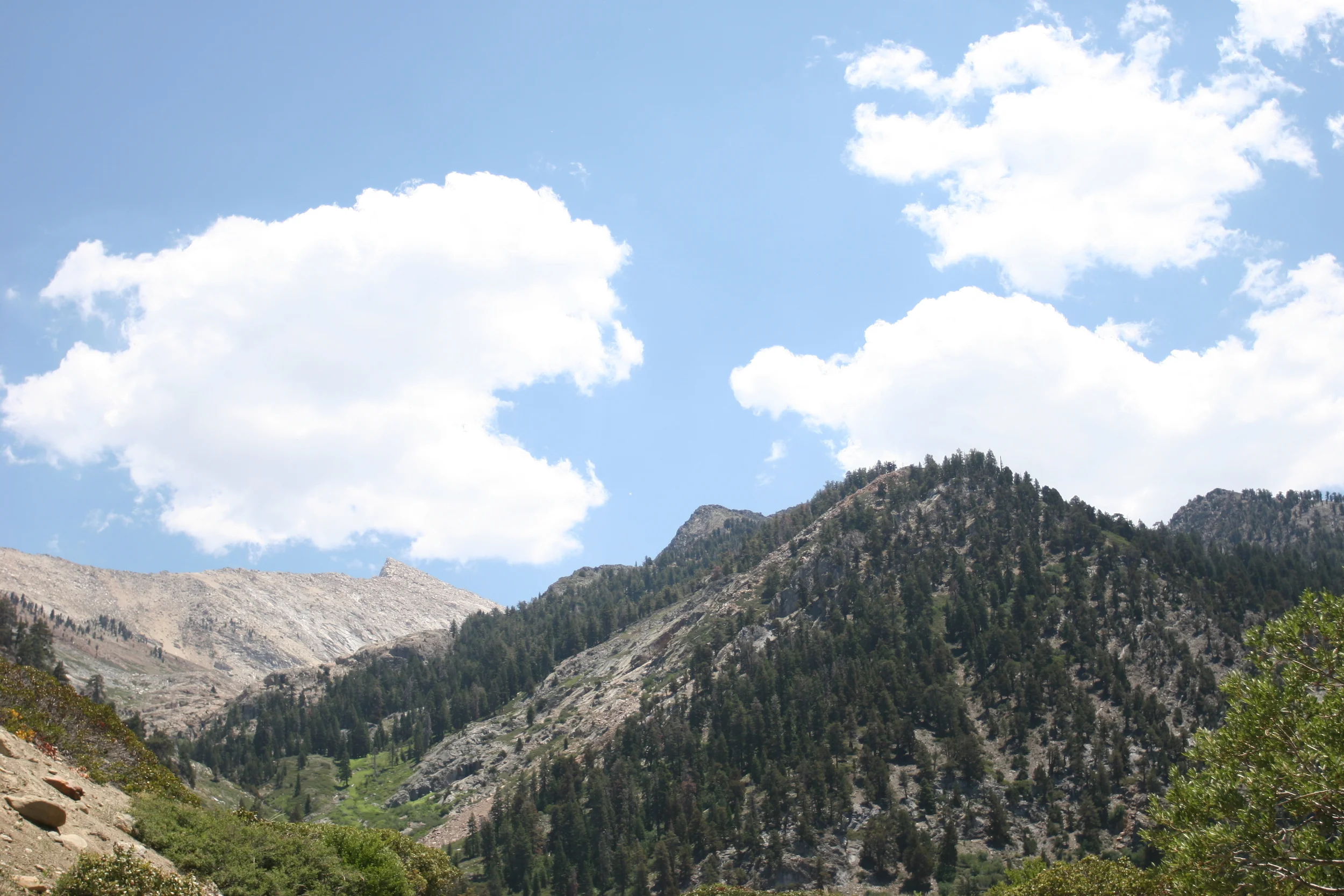 Top 5 Things to do in Sequoia National Park