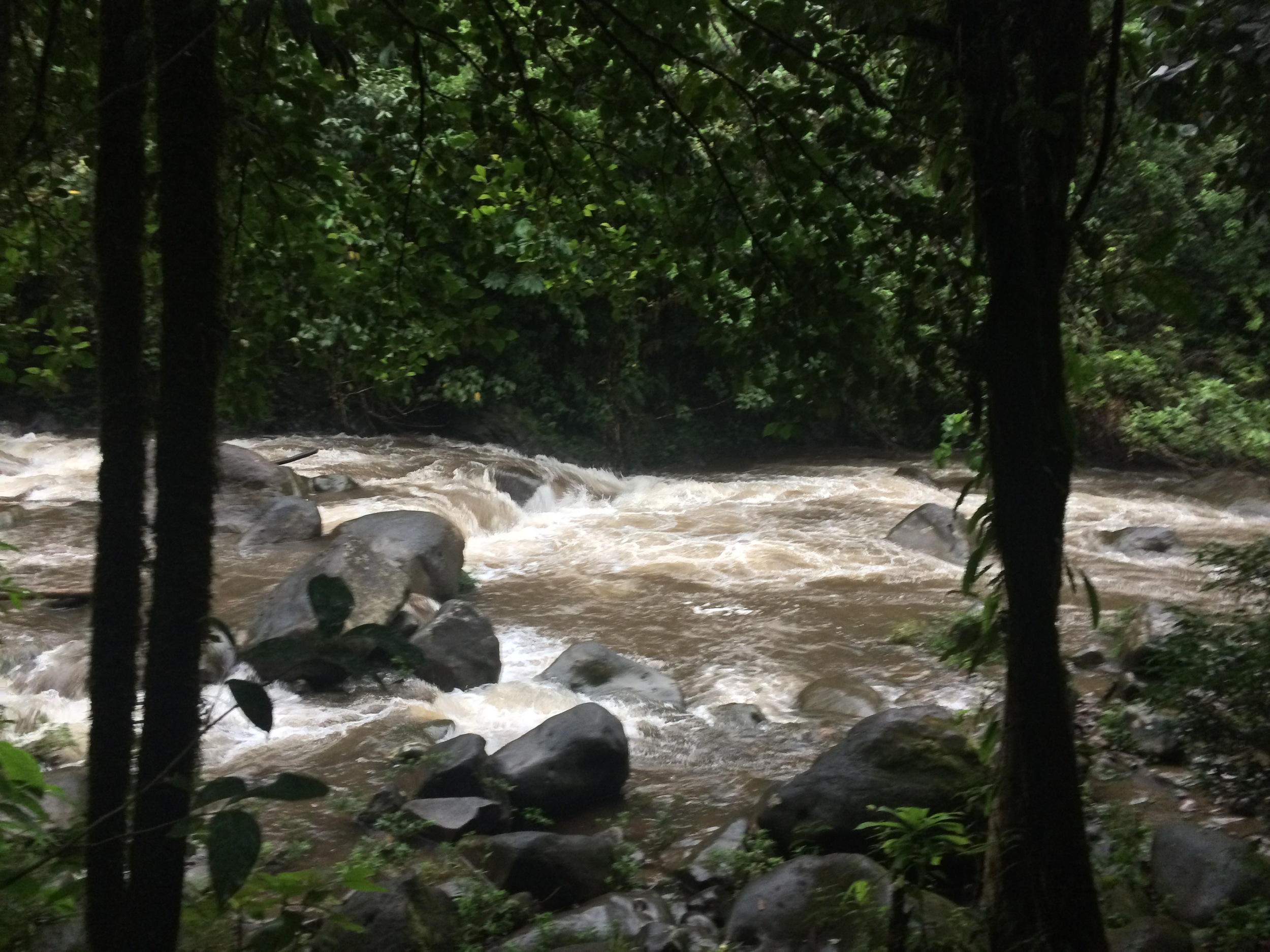 Rio Celeste after a downpour.