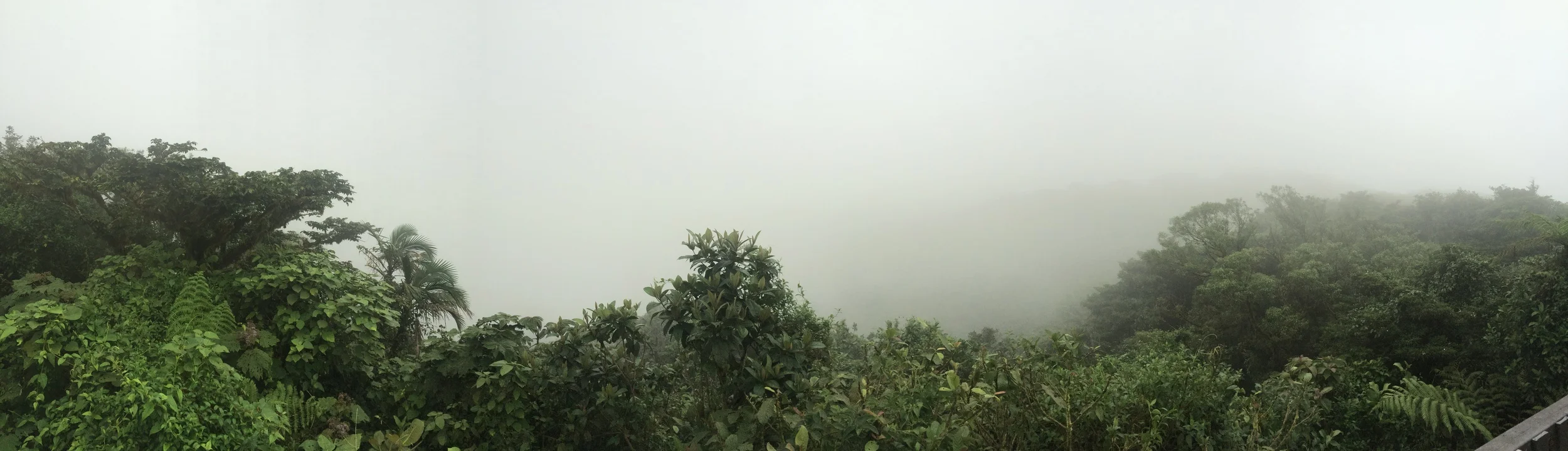 Hiking Monteverde Cloud Forest Reserve