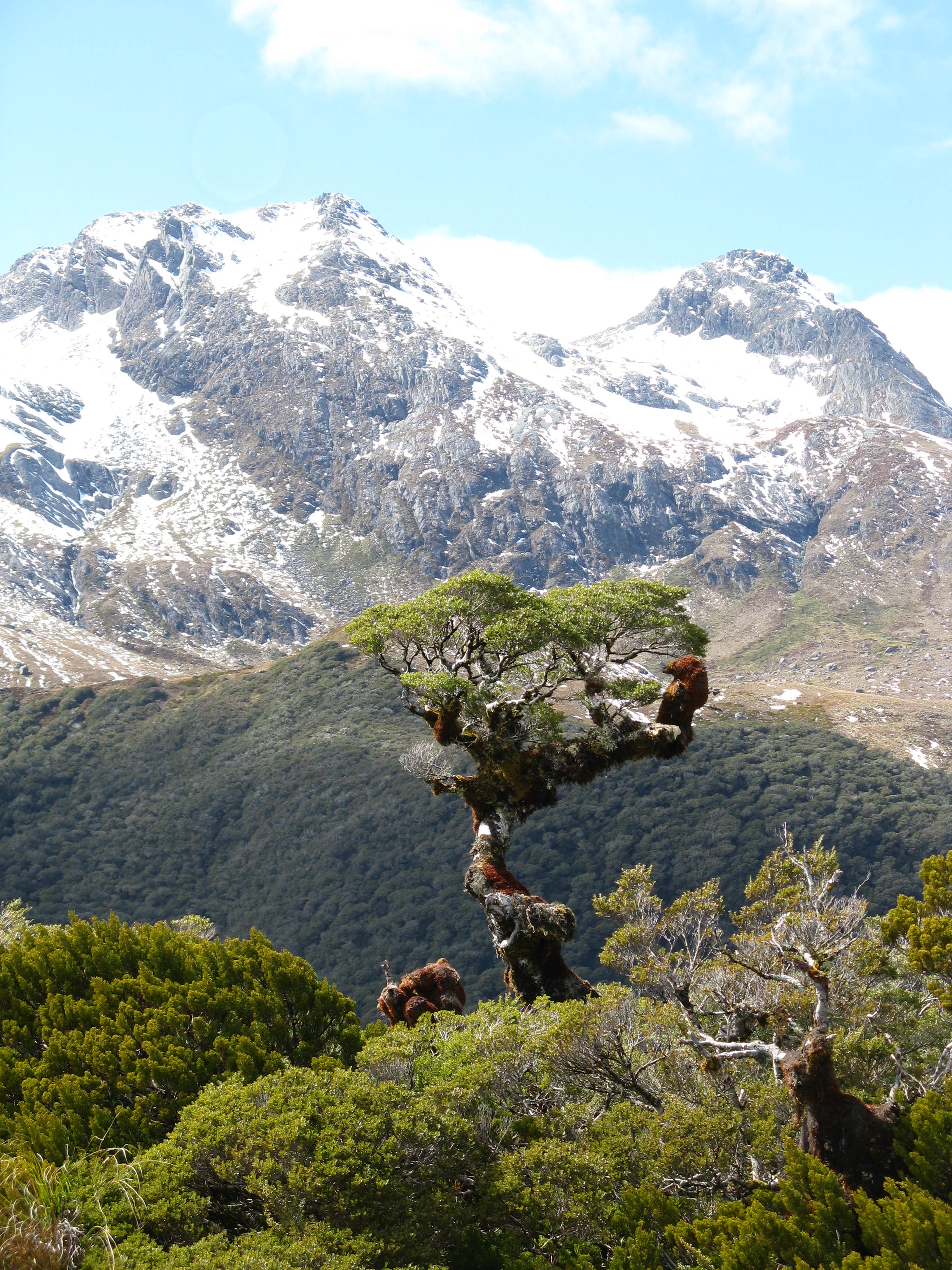 Key Summit, Fiordland National Park, New Zealand