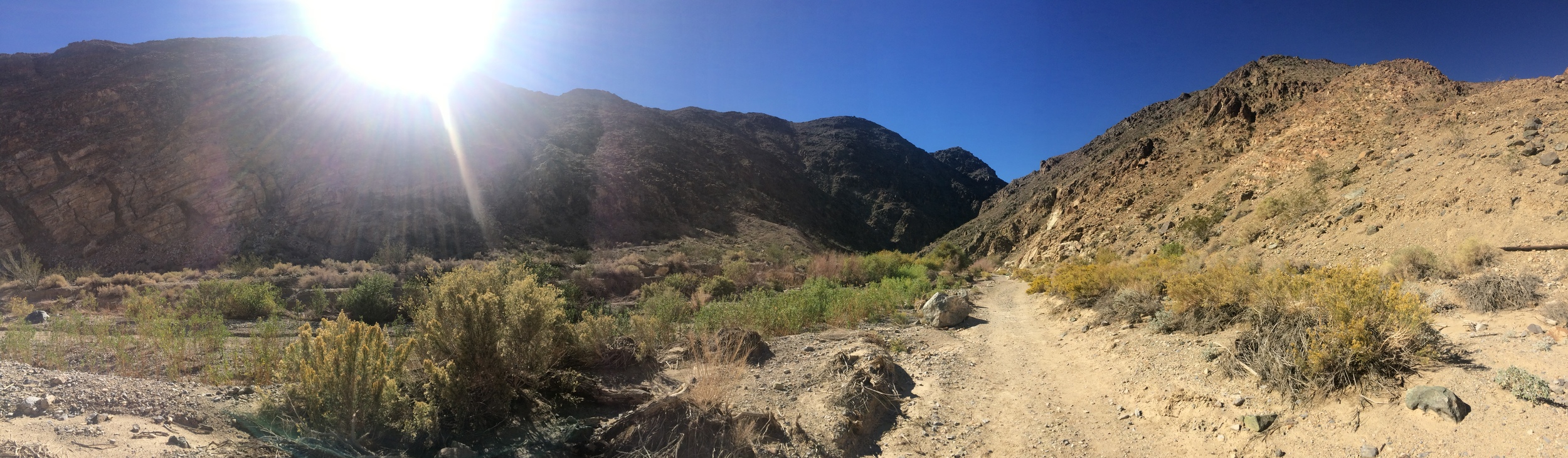 Trail to Darwin Falls