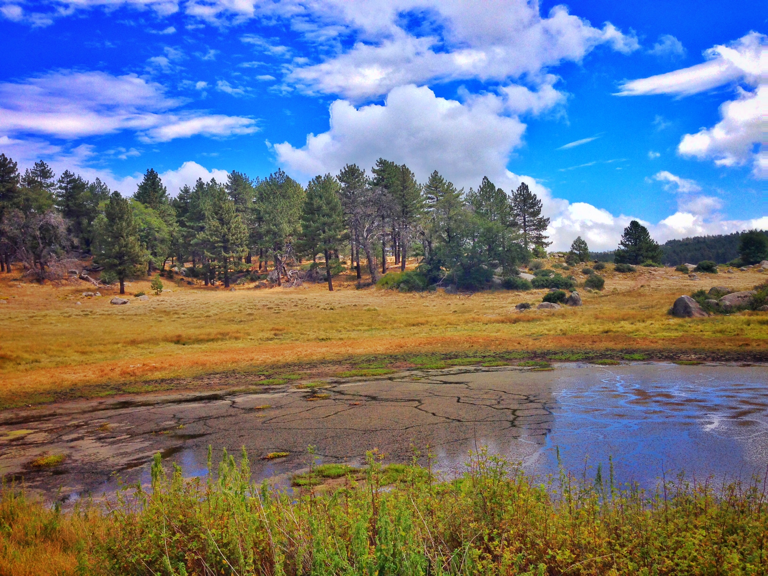 The Laguna Mountains in San Diego offer great backpacking and camping opportunities.