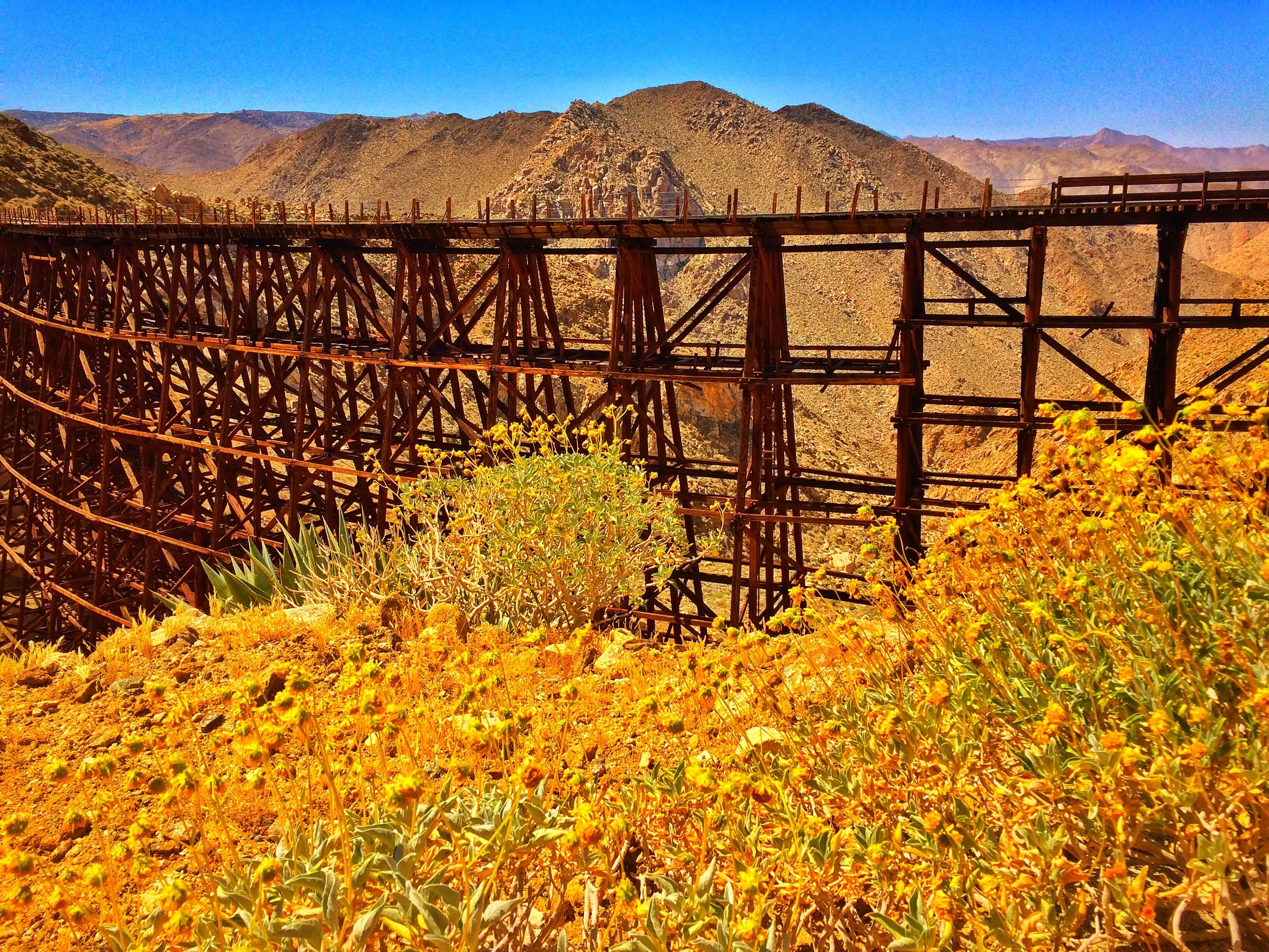The Anza-Borrego Desert offers many adventure opportunities, like the Goat Canyon Trestle hike, and many overnight opportunities as well.