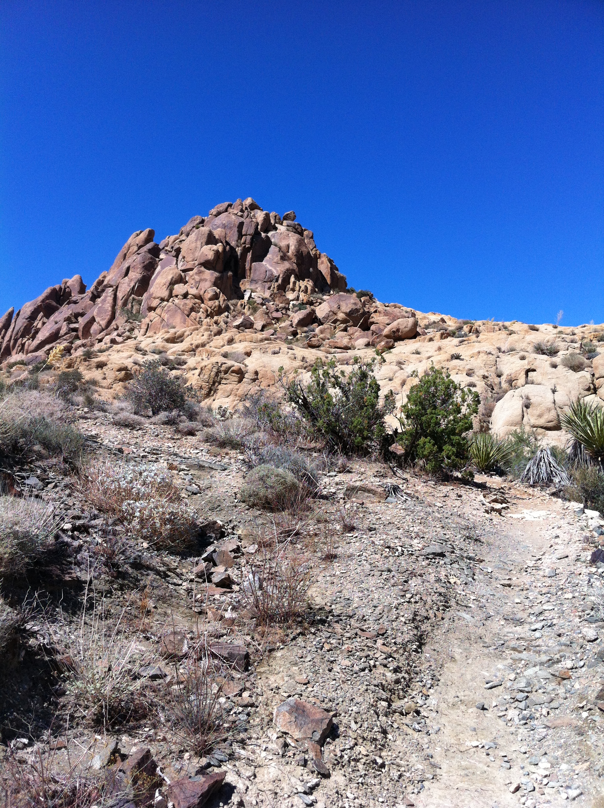 Mastodon Peak, Joshua Tree National Park