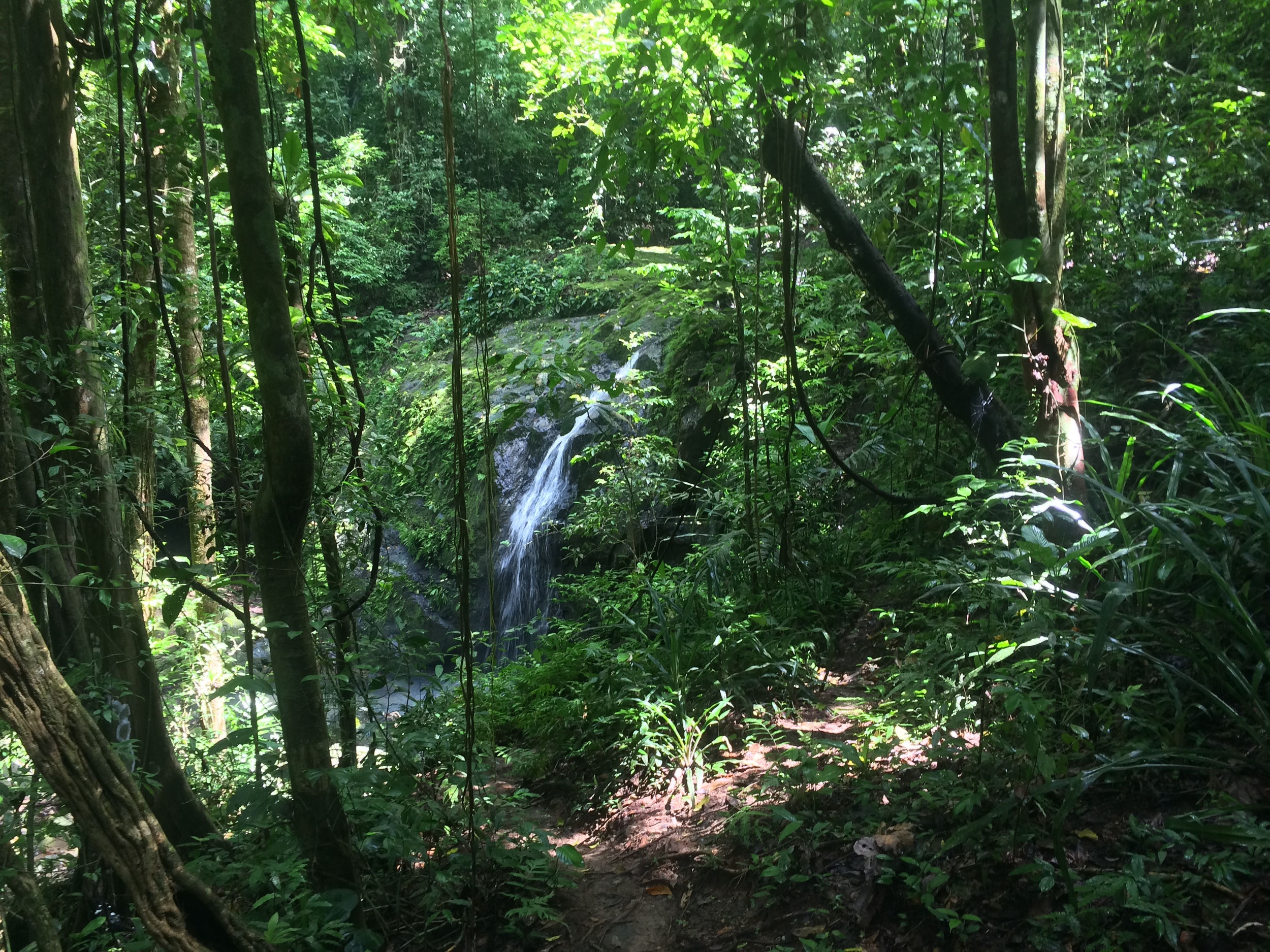Waterfall, Manuel Antonio National Park