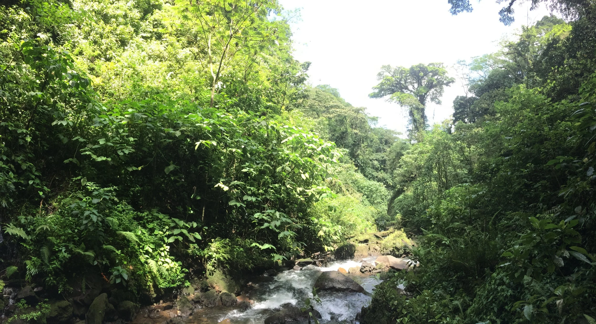Danta River, Arenal Volcano National Park