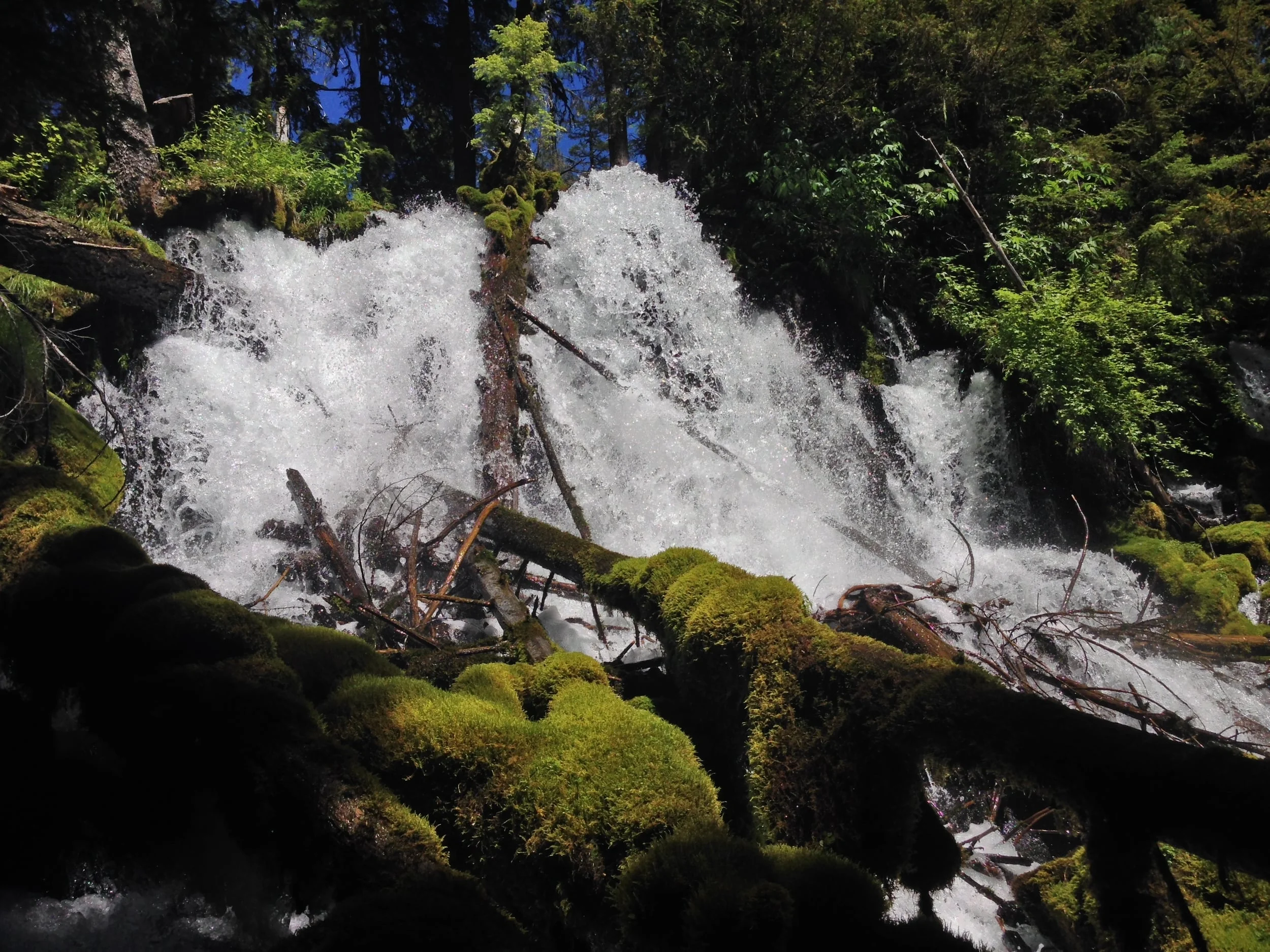Clearwater Falls, Oregon