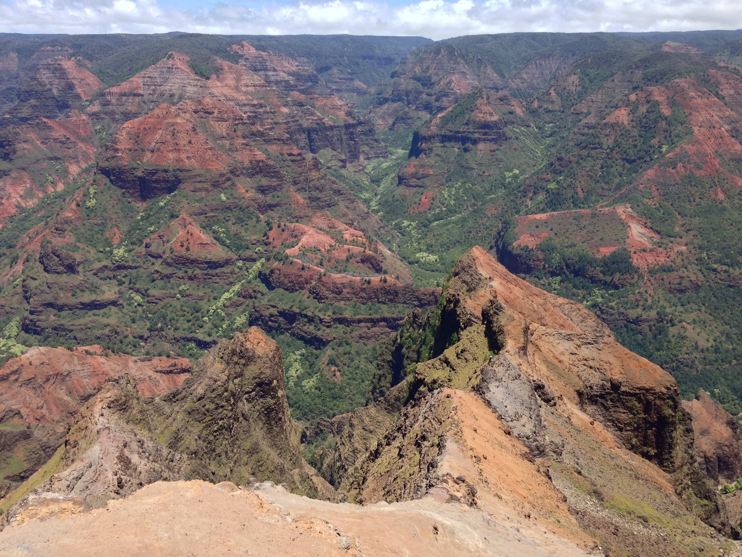 Waimea Canyon Lookout