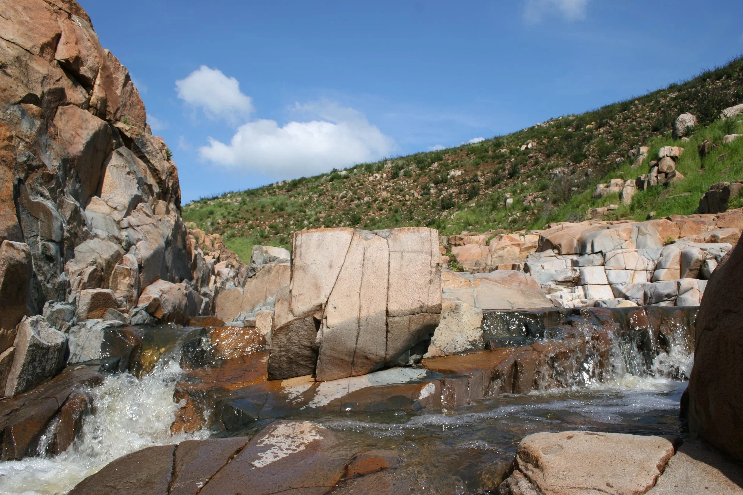 Oak Canyon, Mission Trails Regional Park