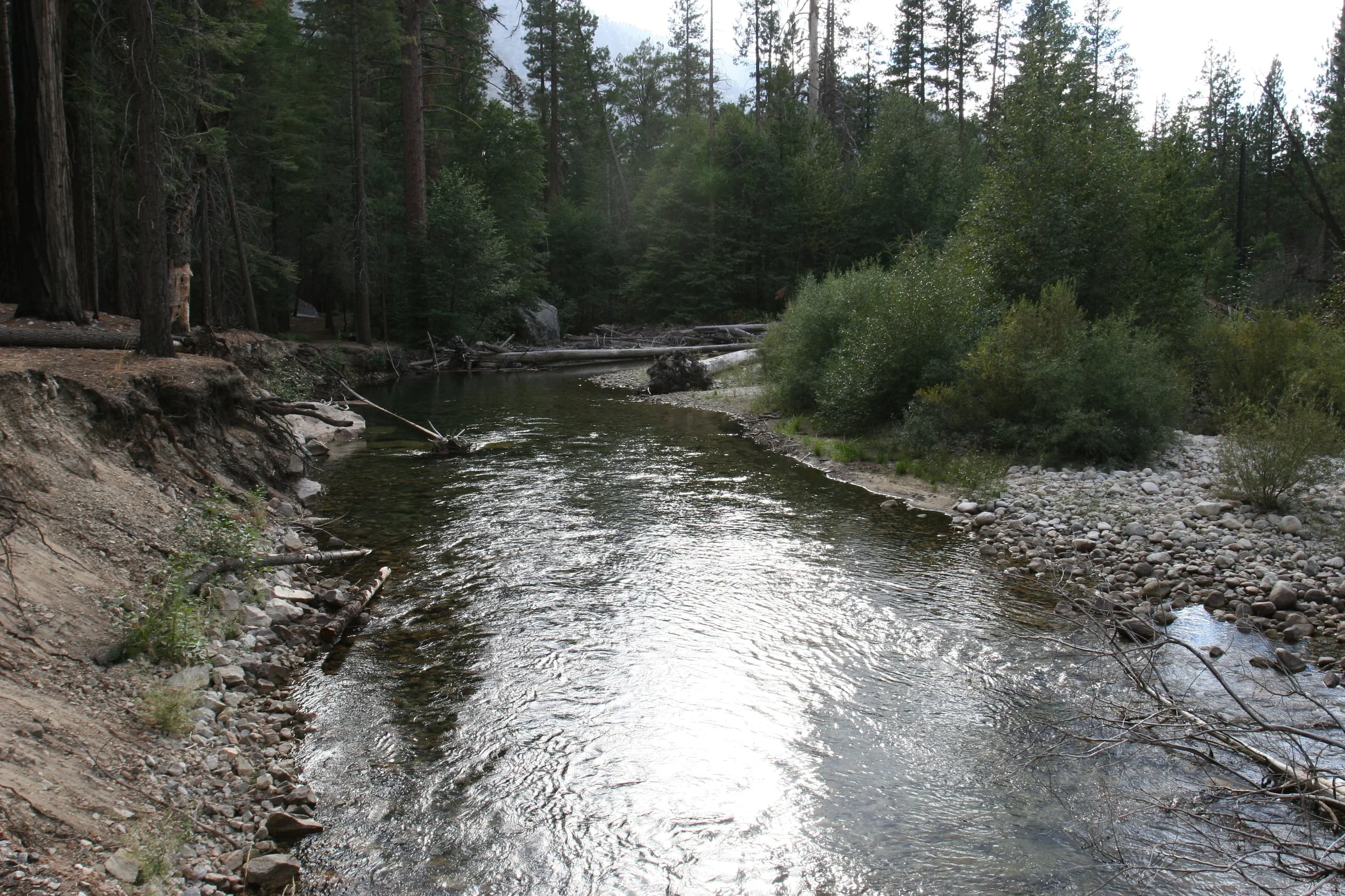 Zumwalt Meadows to Roaring River Falls