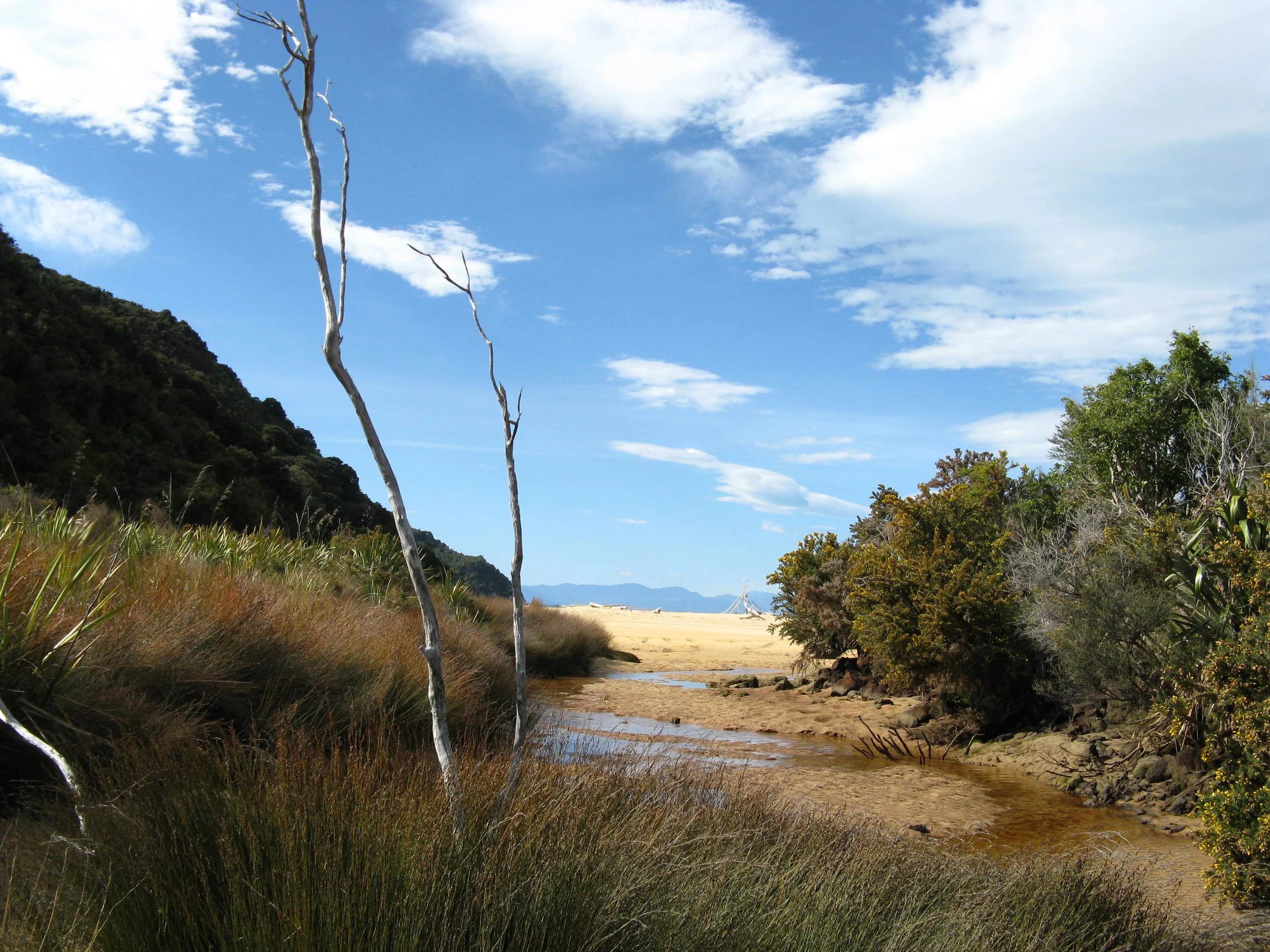 Awaroa to Tonga Quarry, Coast Track