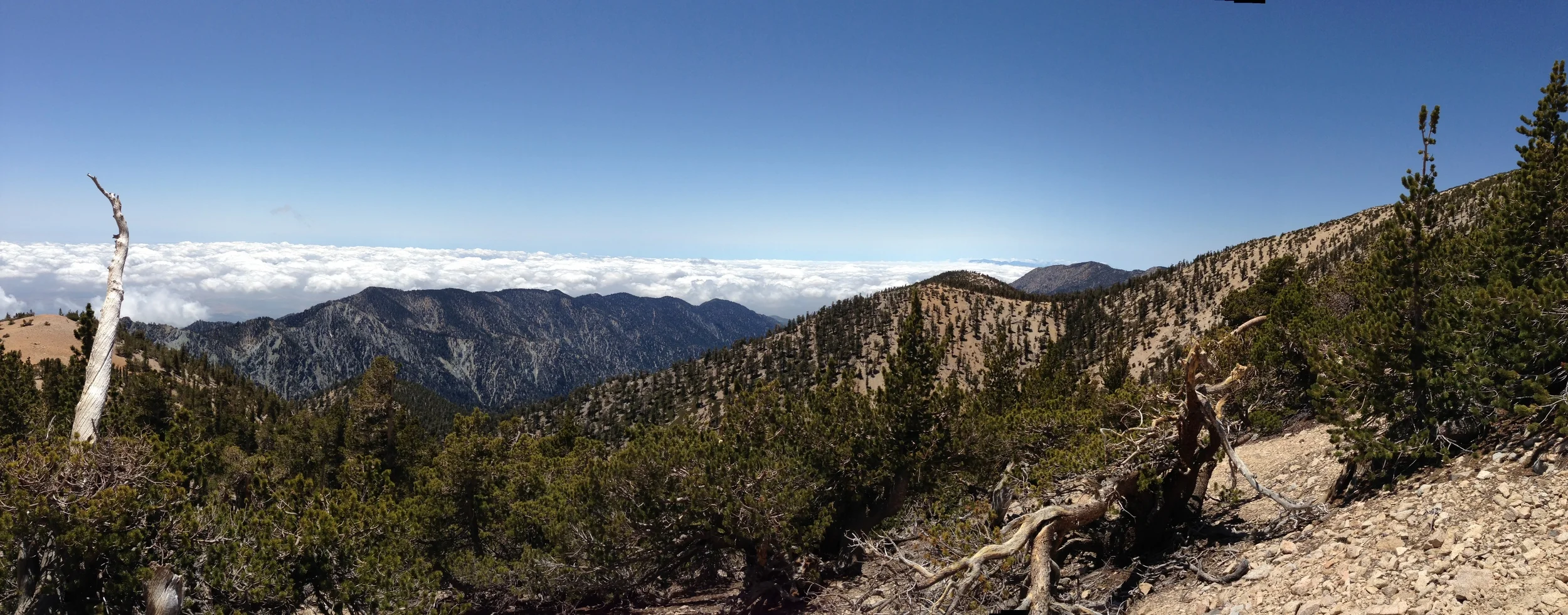 Current Conditions May 2013, Vivian Creek Trailhead to San Gorgonio Summit