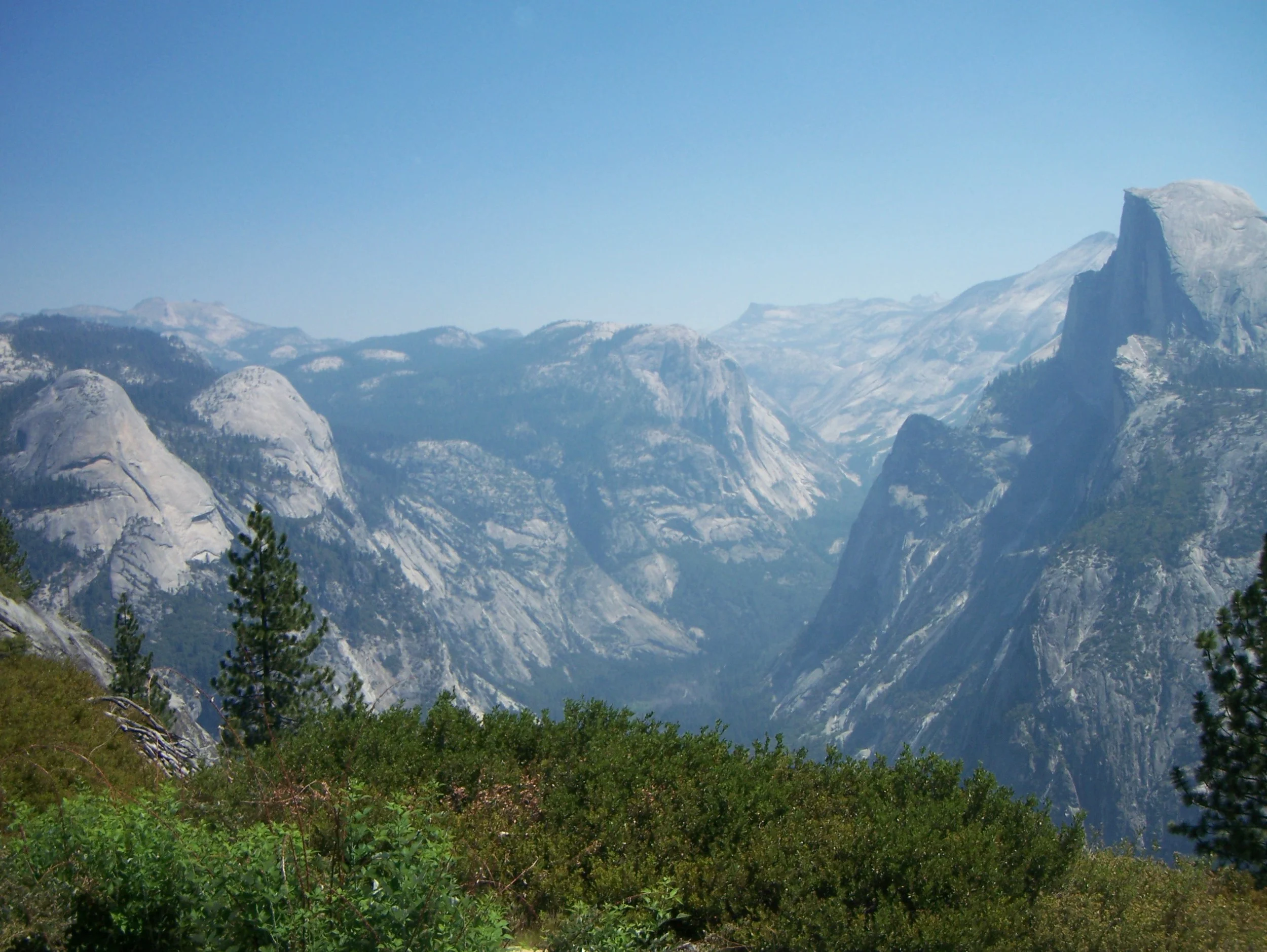Mountain Lions on the Trail: They See You Before You See Them.