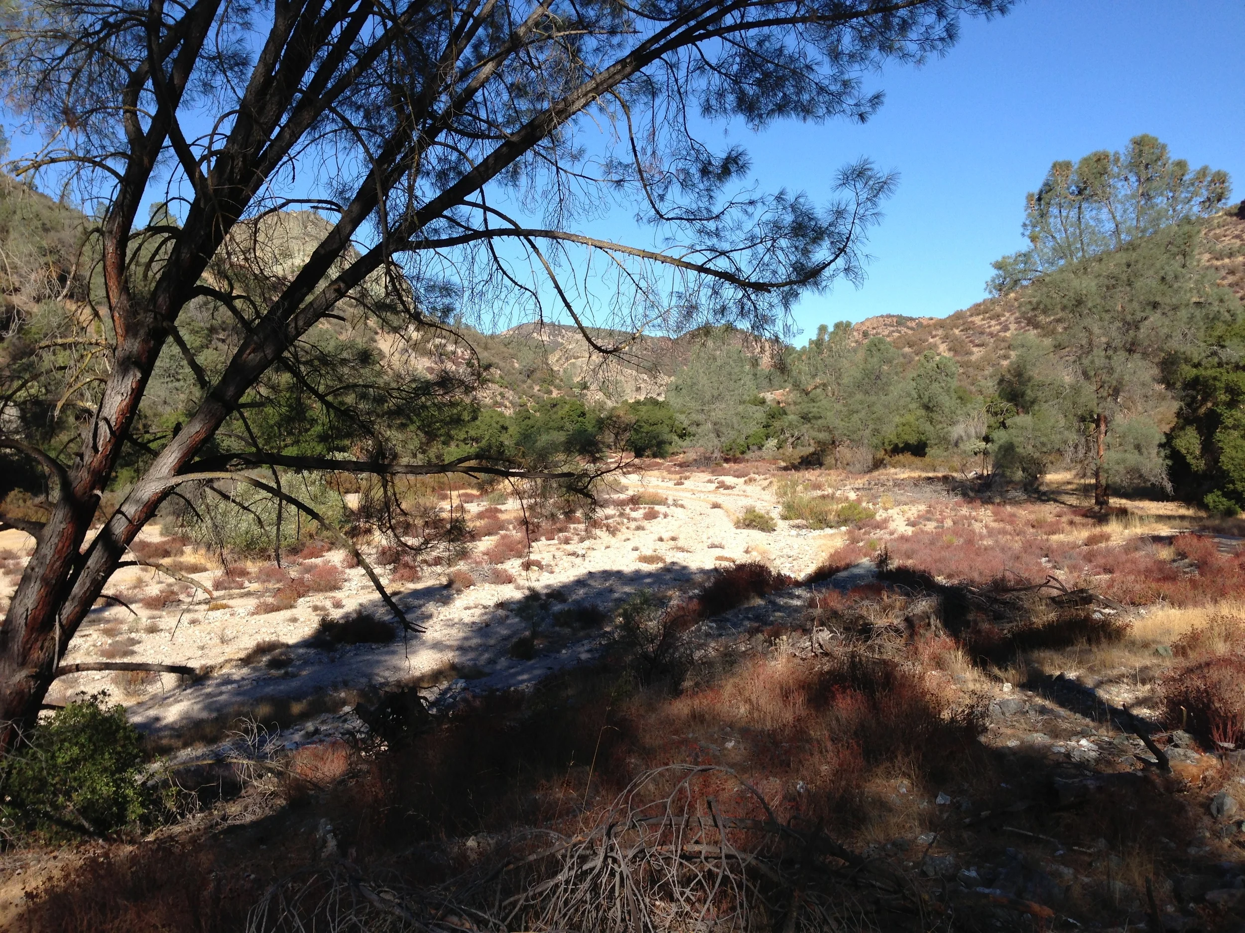 Old Pinnacles Trail to Balconies Cave
