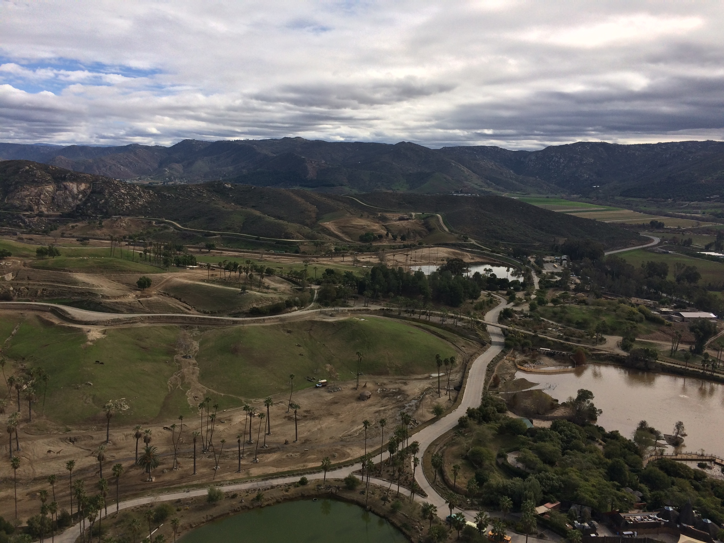 Looking down at the San Diego Safari Park from the Safari Balloon