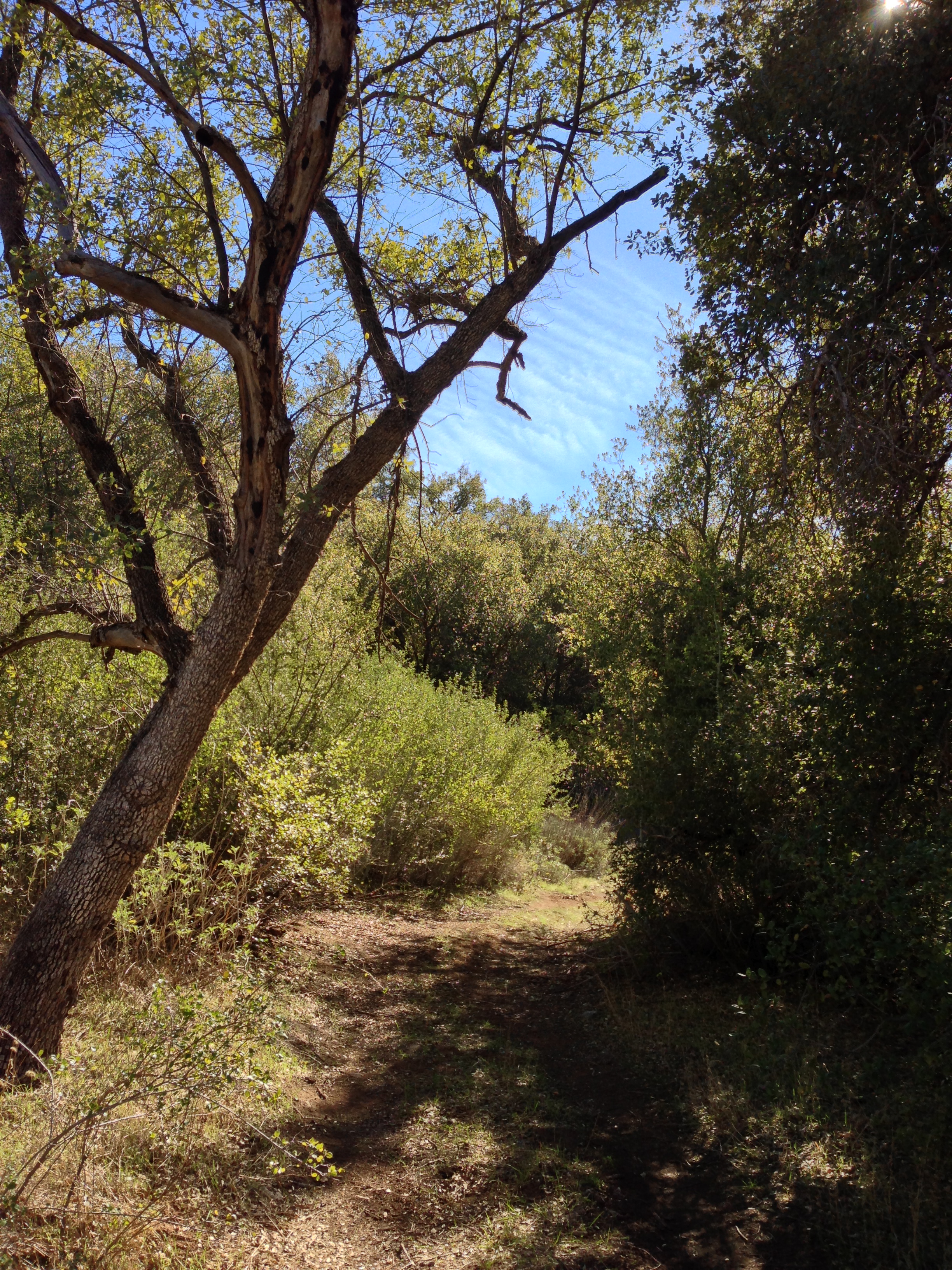 Trail to "the punchbowl"