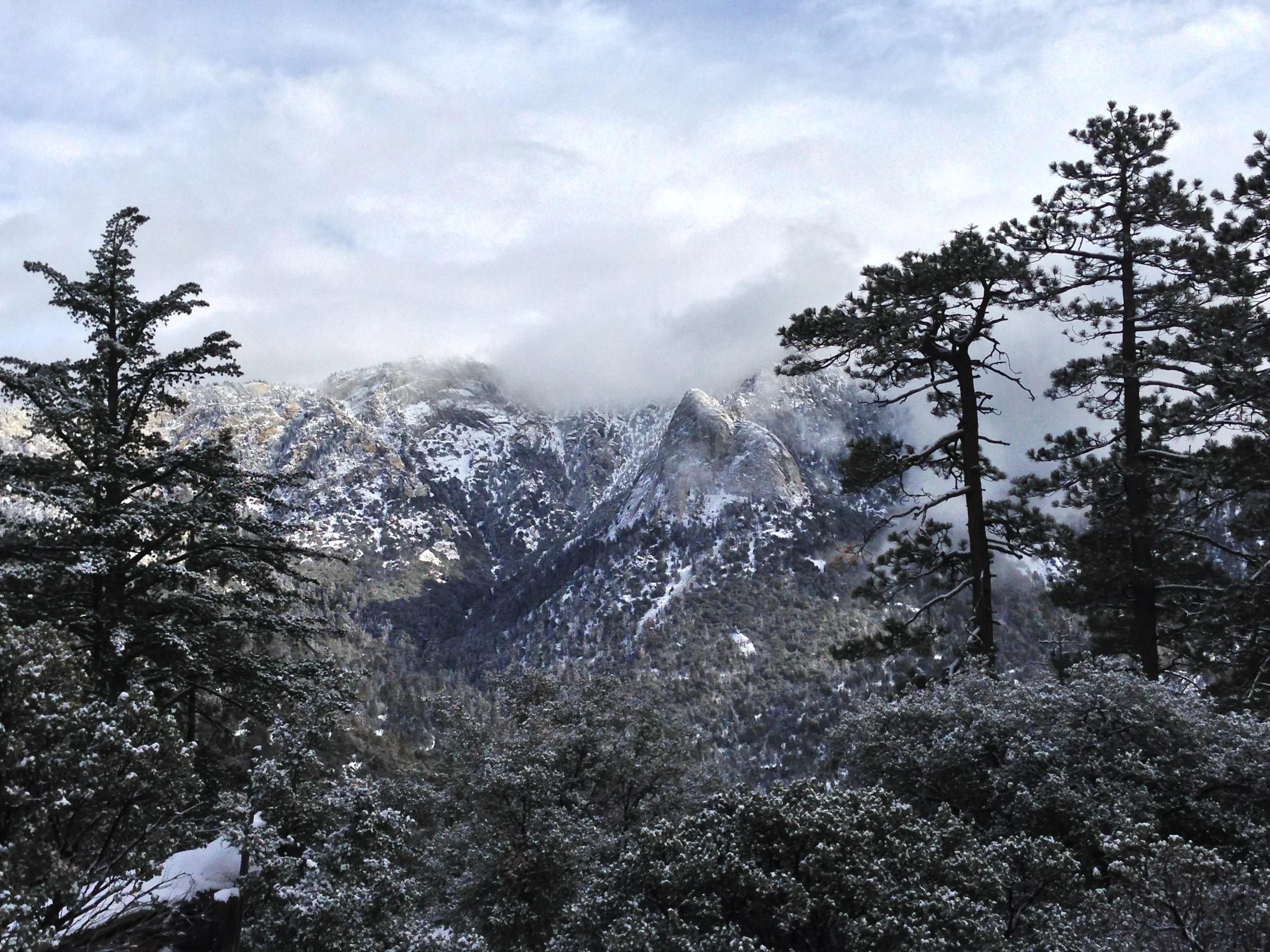 Current Conditions, Deer Springs Trail/San Jacinto, December 30, 2012