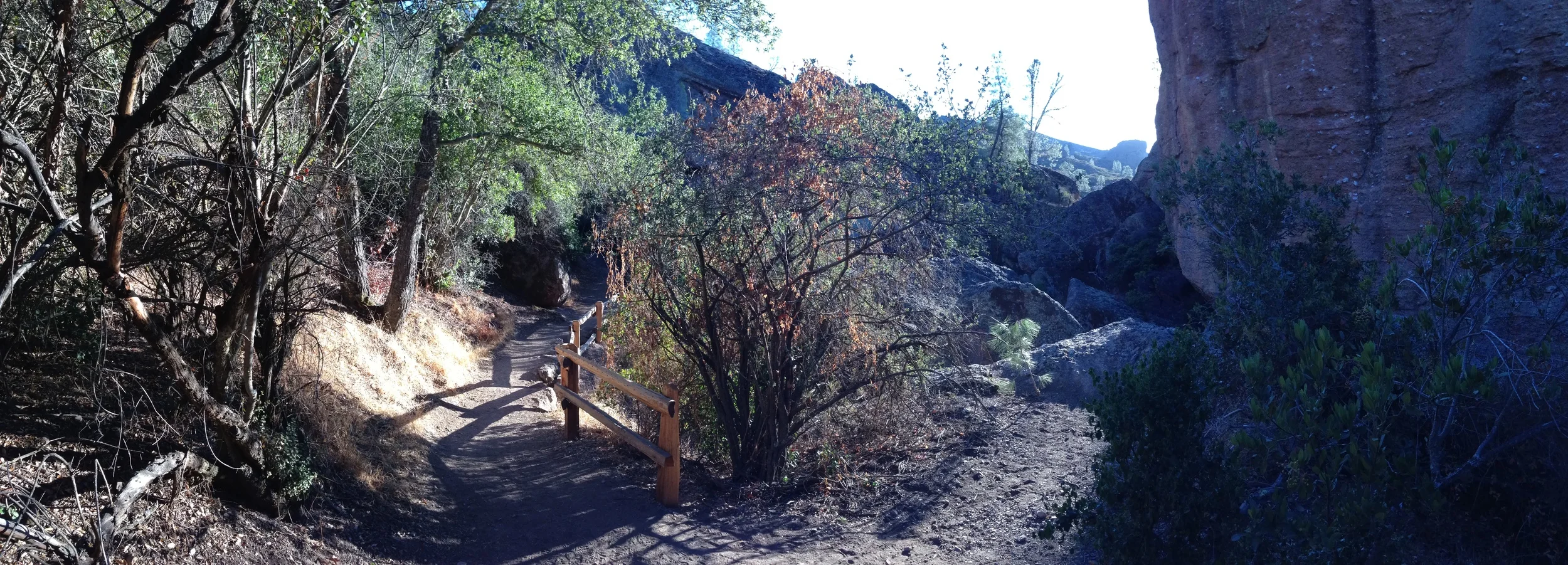 Bear Gulch Cave Trail