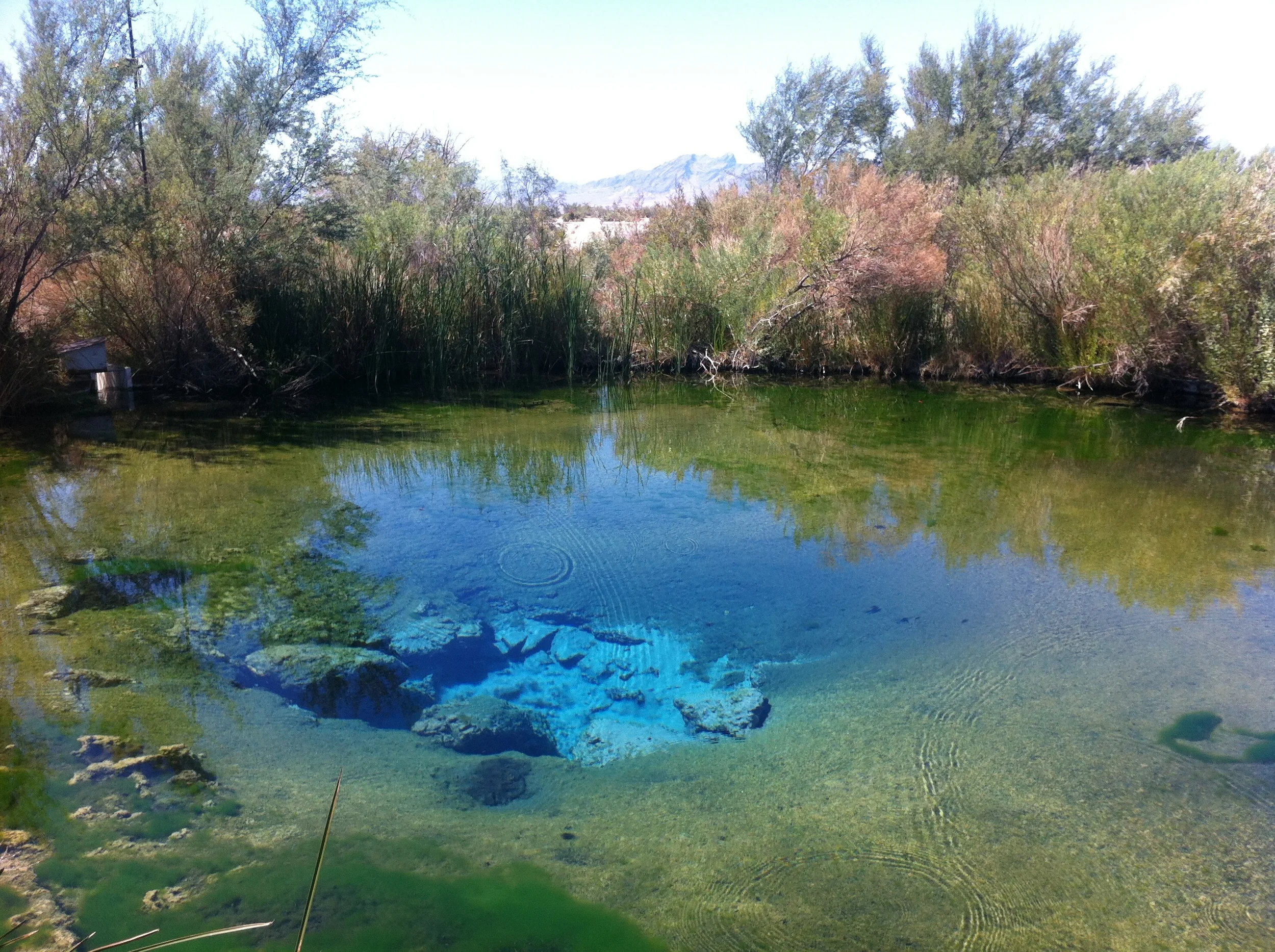 Ash Meadows National Wildlife Refuge