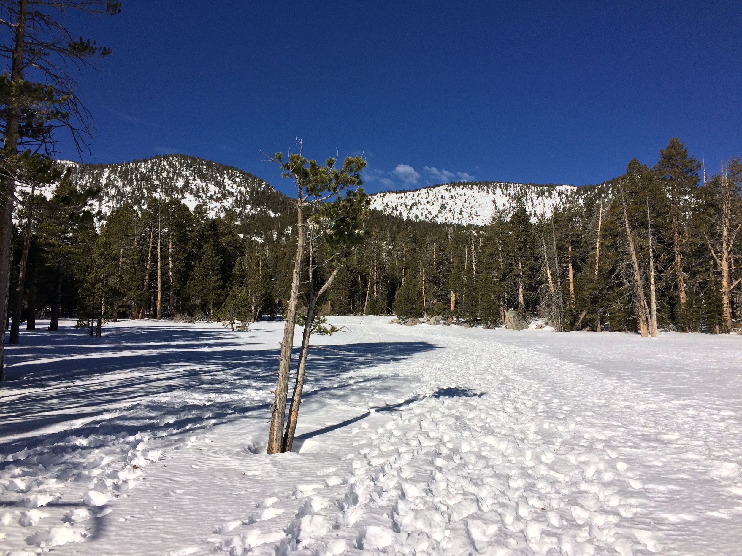 Current snow levels, Round Valley, San Jacinto, January 2016