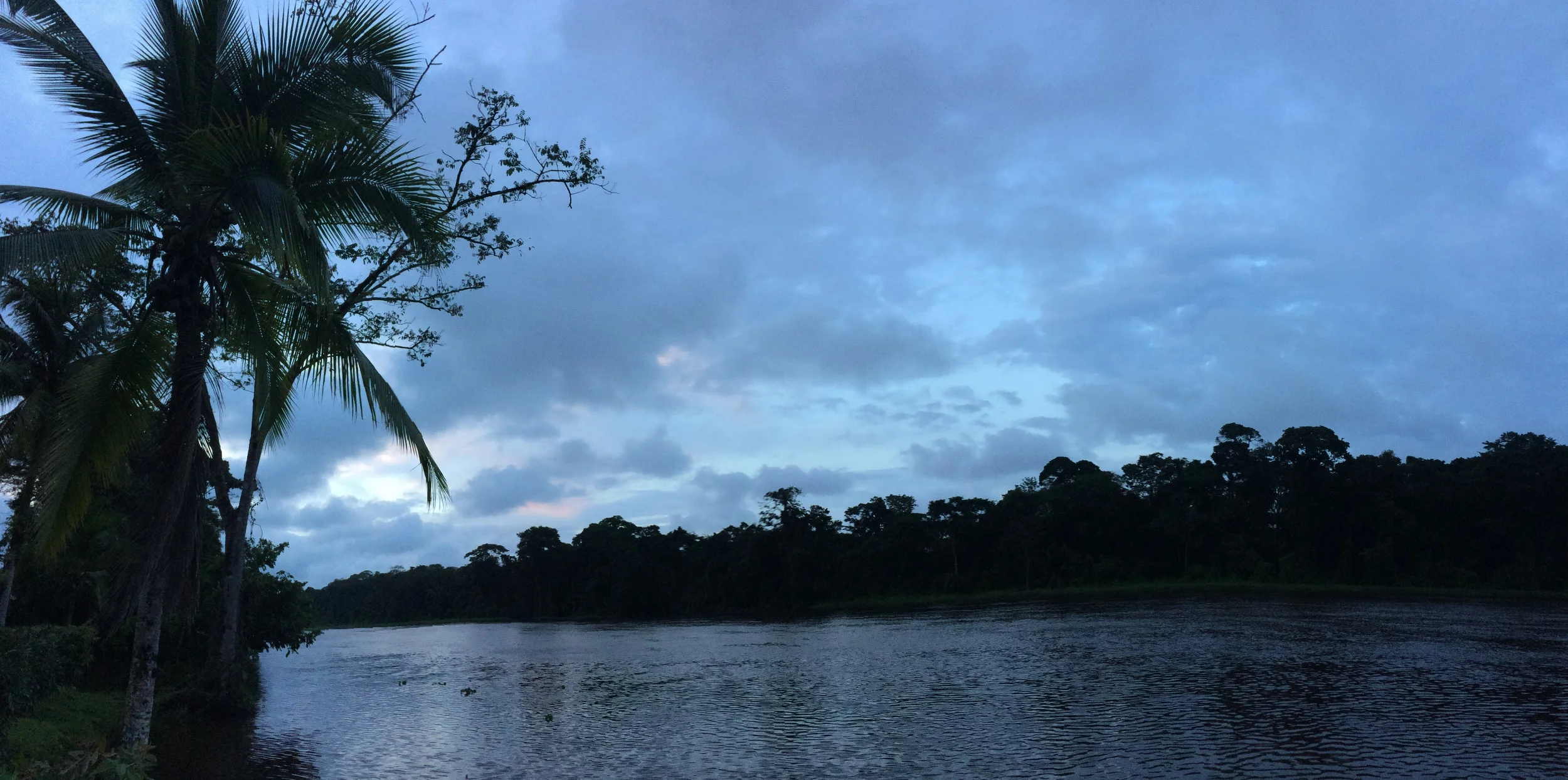 How to Explore Tortuguero