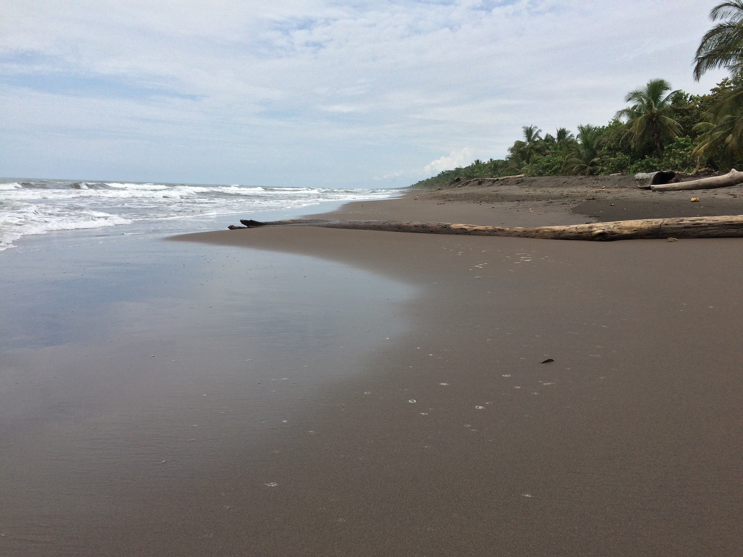 Caribbean coastline, Tortuguero National Park
