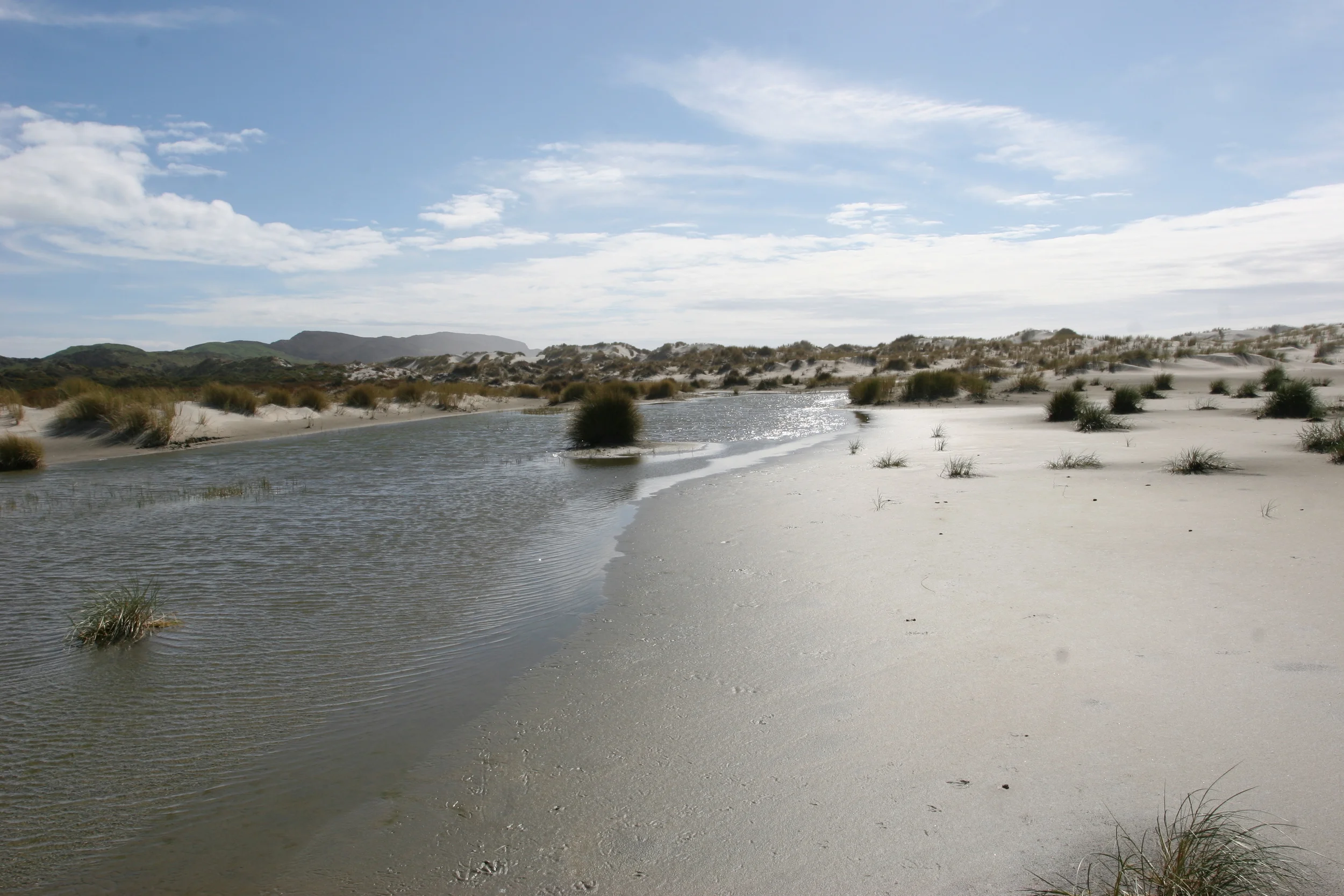 Farewell Spit, South Island, New Zealand