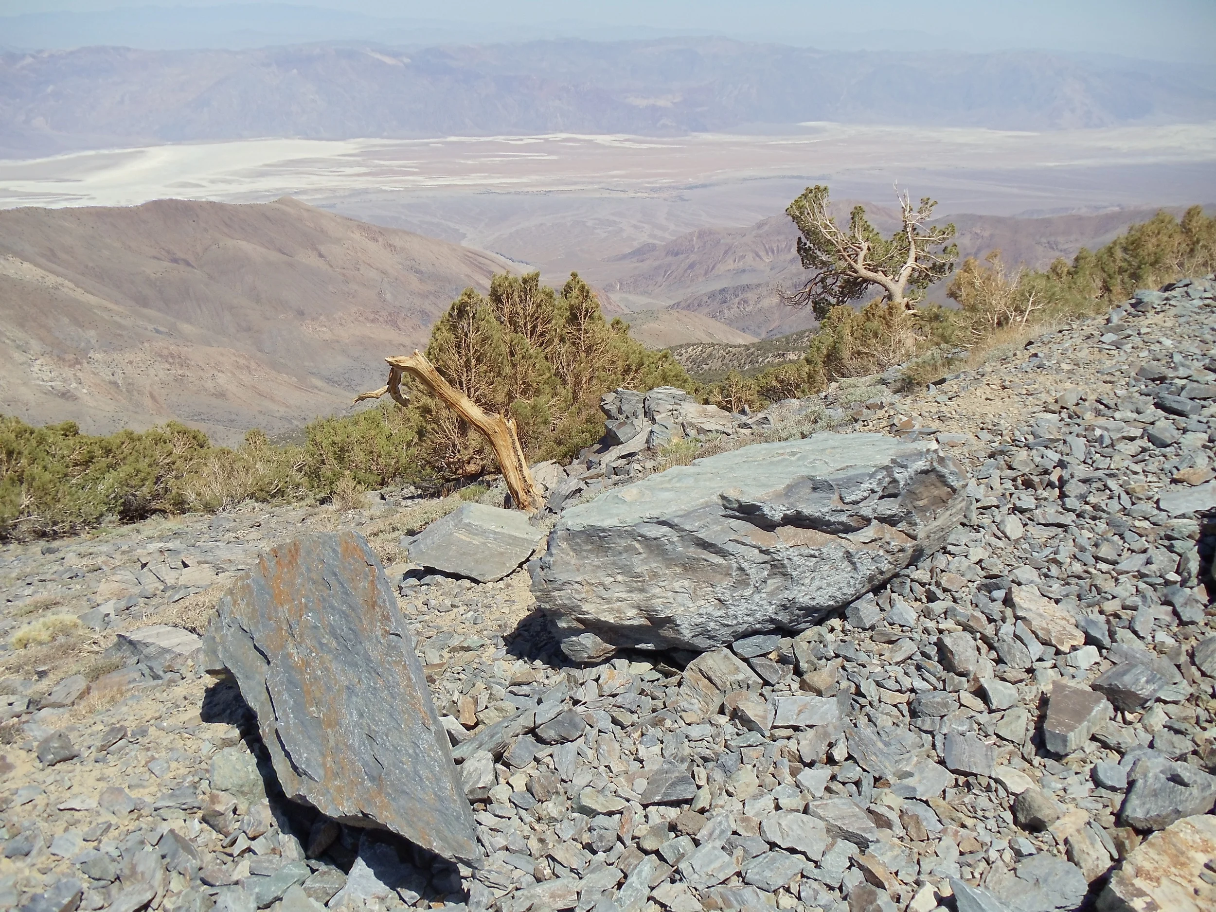 Looking into Death Valley from the Fire Access road on Rogers' Peak