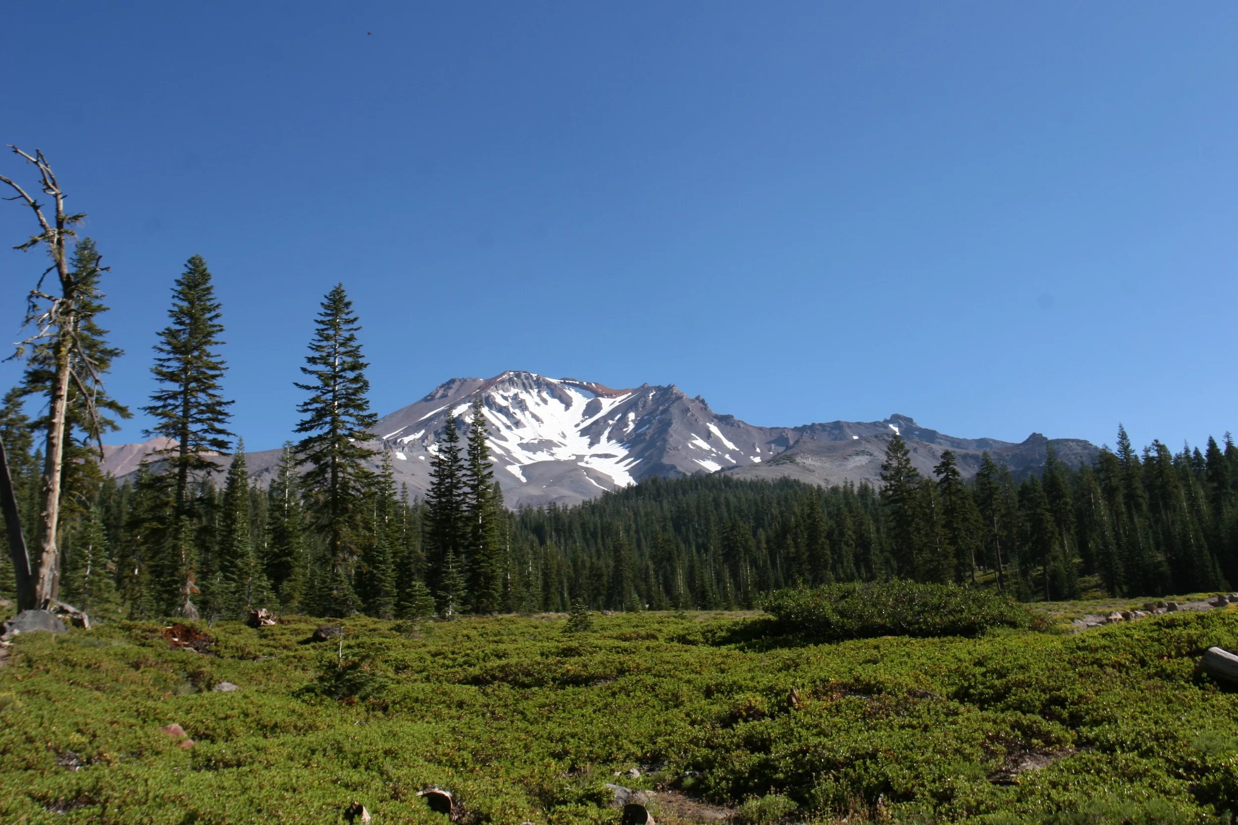 Bunny Flat: Home to regular and irregular hikes to Lemuria. 