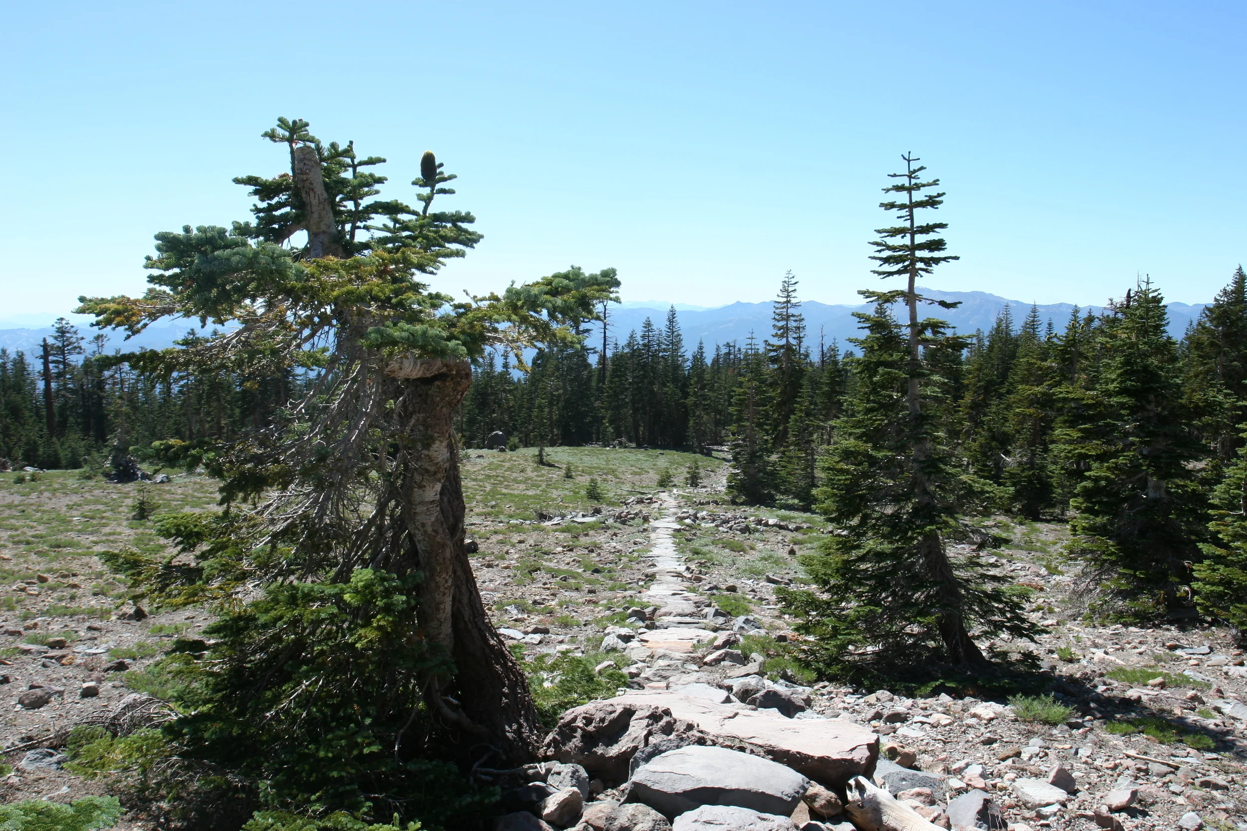 The trail to Lemuria is mostly flat at time, not too demanding for some, but challenging for others, and is a type of loop. Truly the best trail ever.