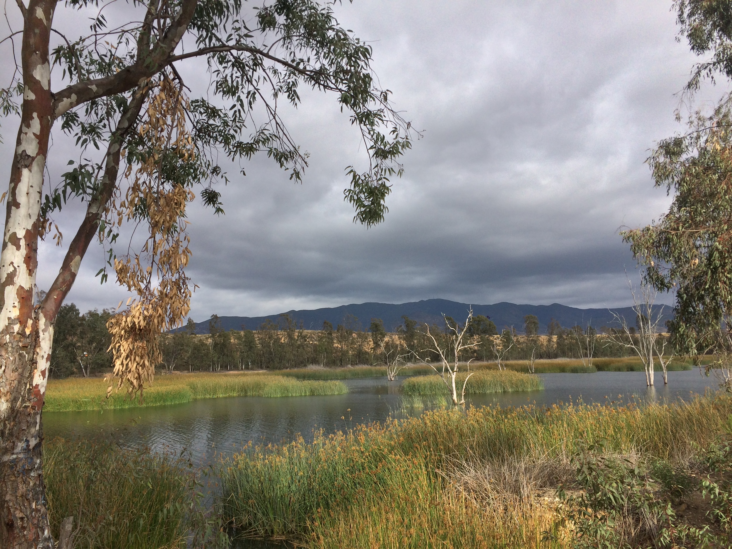 Lower Otay Lake, near the trailhead for Upper Otay Lake