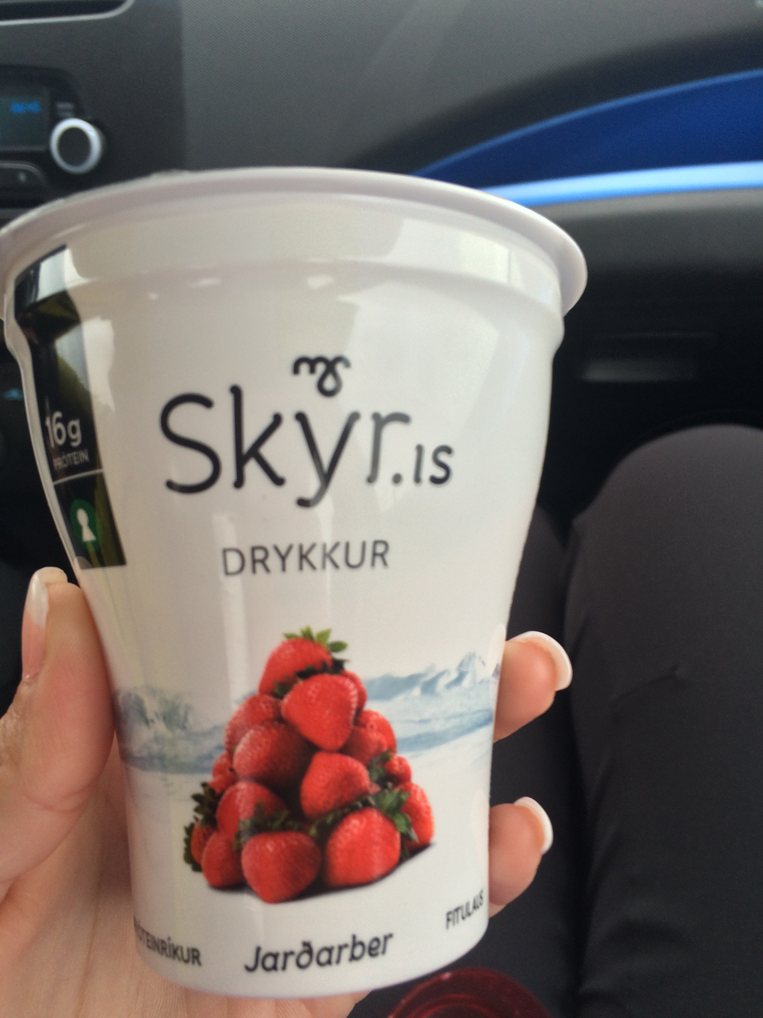 Skyr: good for a meal, or just a quick snack. One of many Icelandic delicacies one should try!