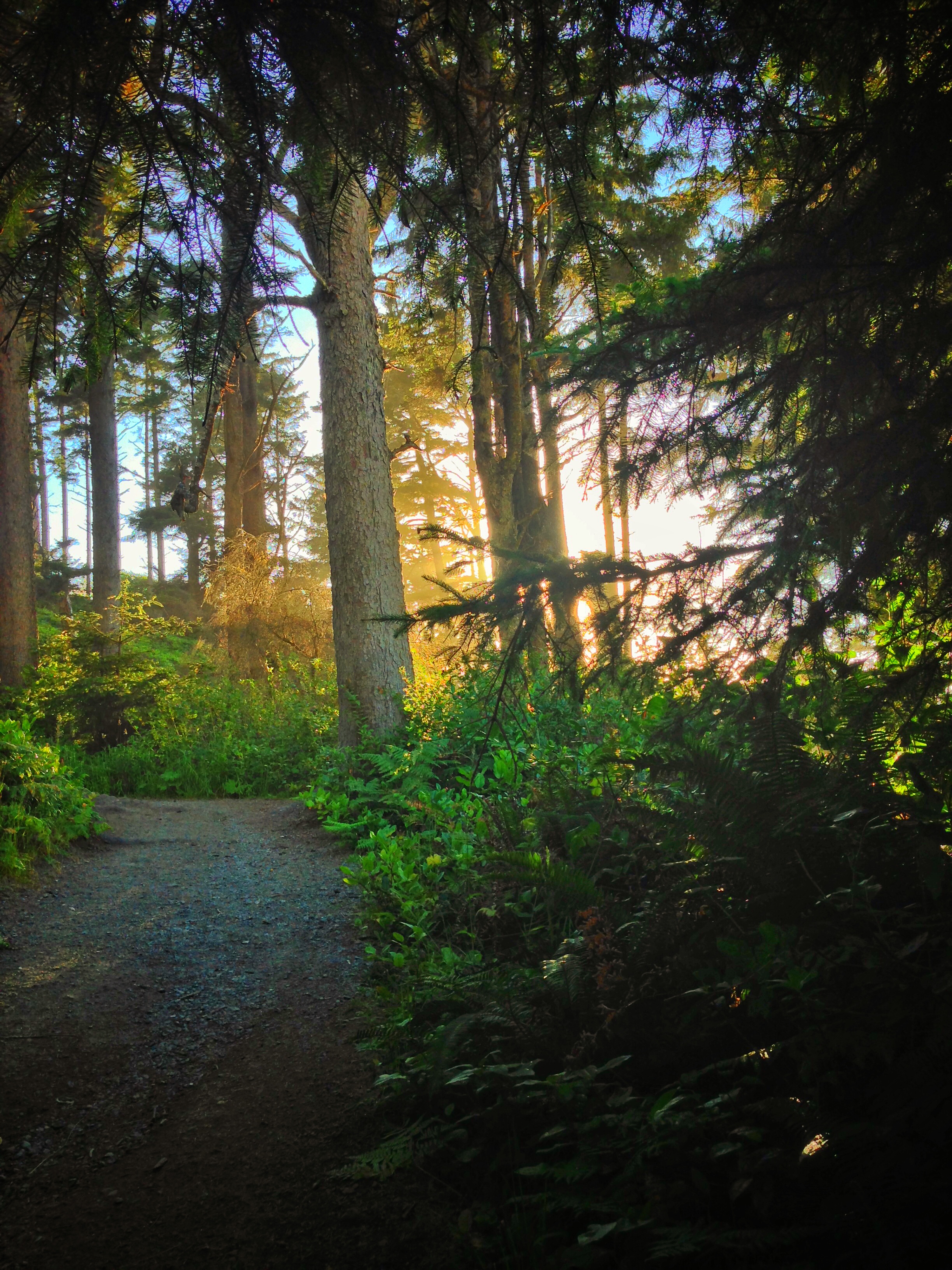 The start of the Agate Beach trail provides great views and fantastic photographic opportunities.